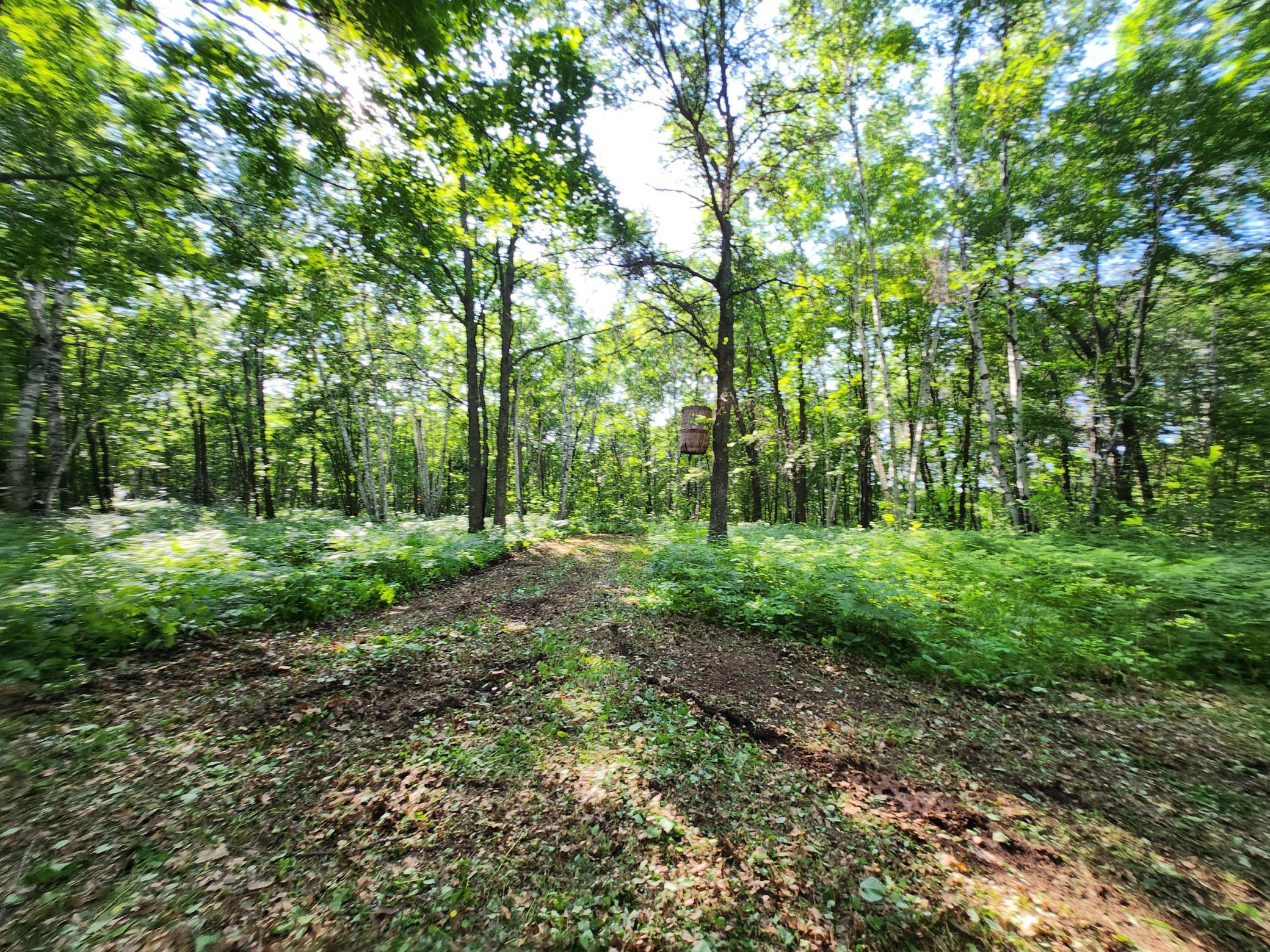 land for sale at TBD Nokay Hall Road in Brainerd, MN (photo 20 of 31)
