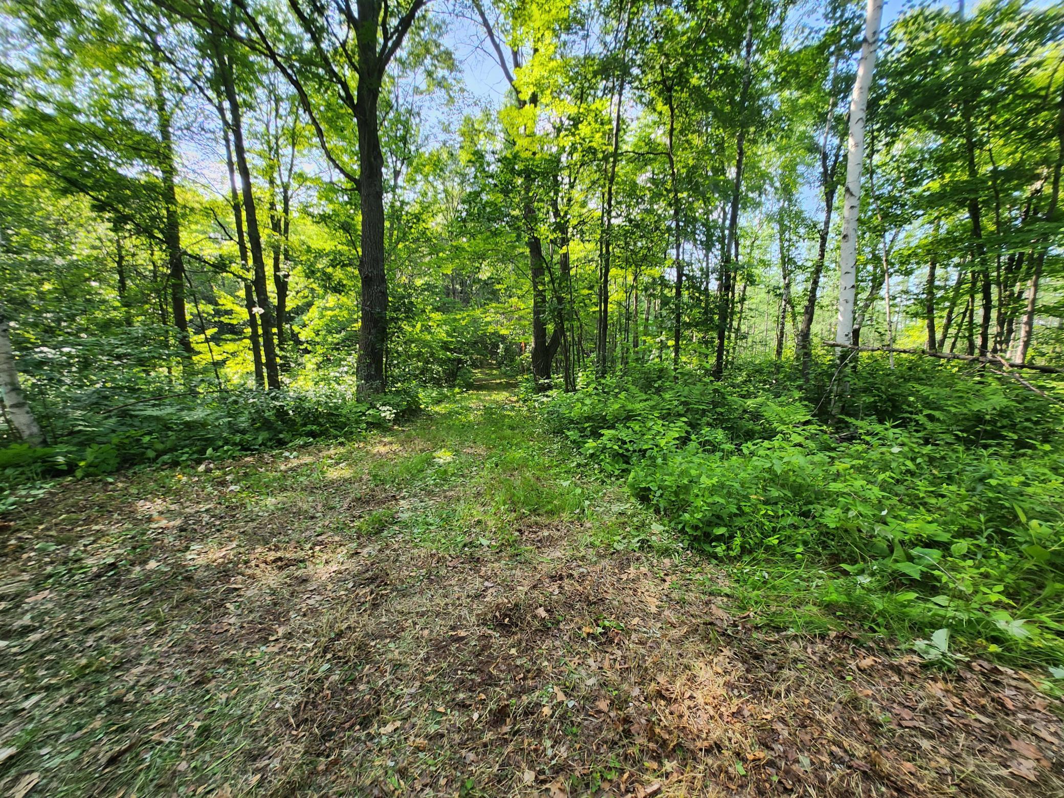 land for sale at TBD Nokay Hall Road in Brainerd, MN (photo 21 of 31)