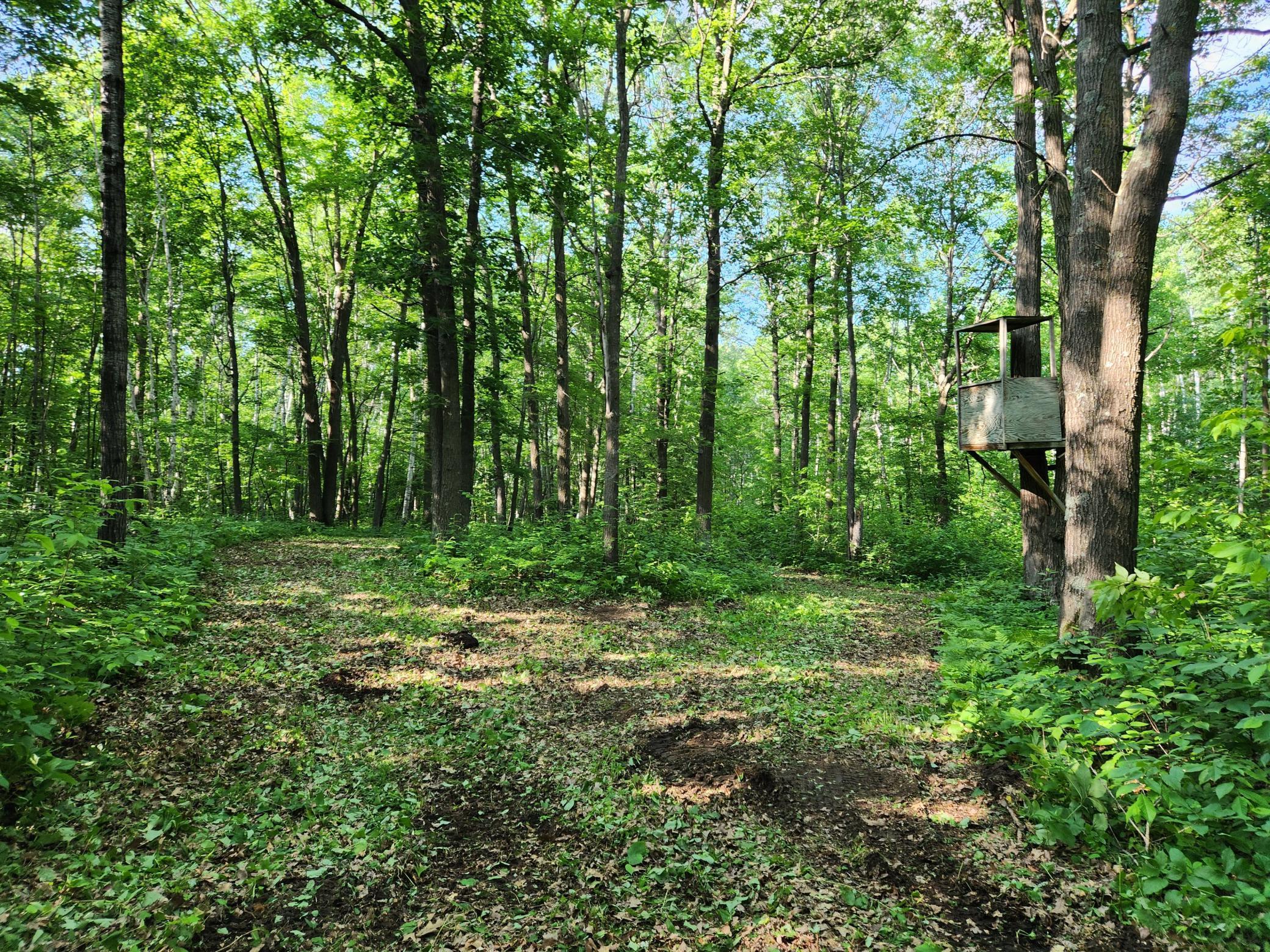 land for sale at TBD Nokay Hall Road in Brainerd, MN (photo 22 of 31)