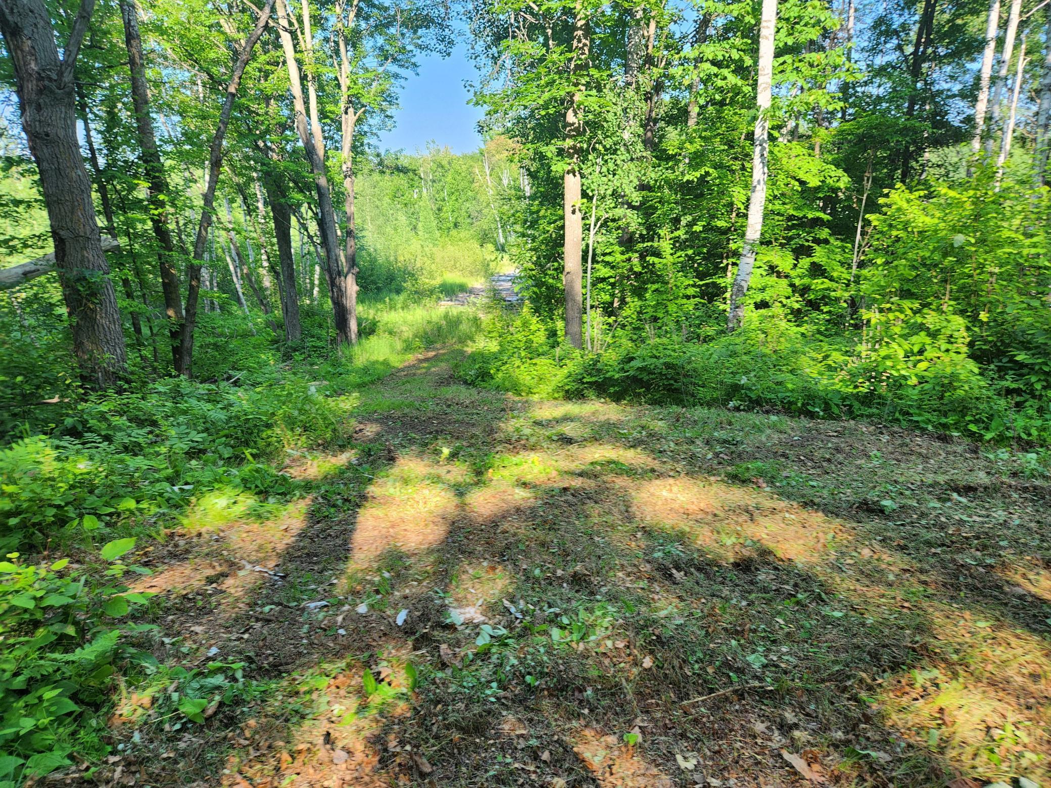 land for sale at TBD Nokay Hall Road in Brainerd, MN (photo 23 of 31)