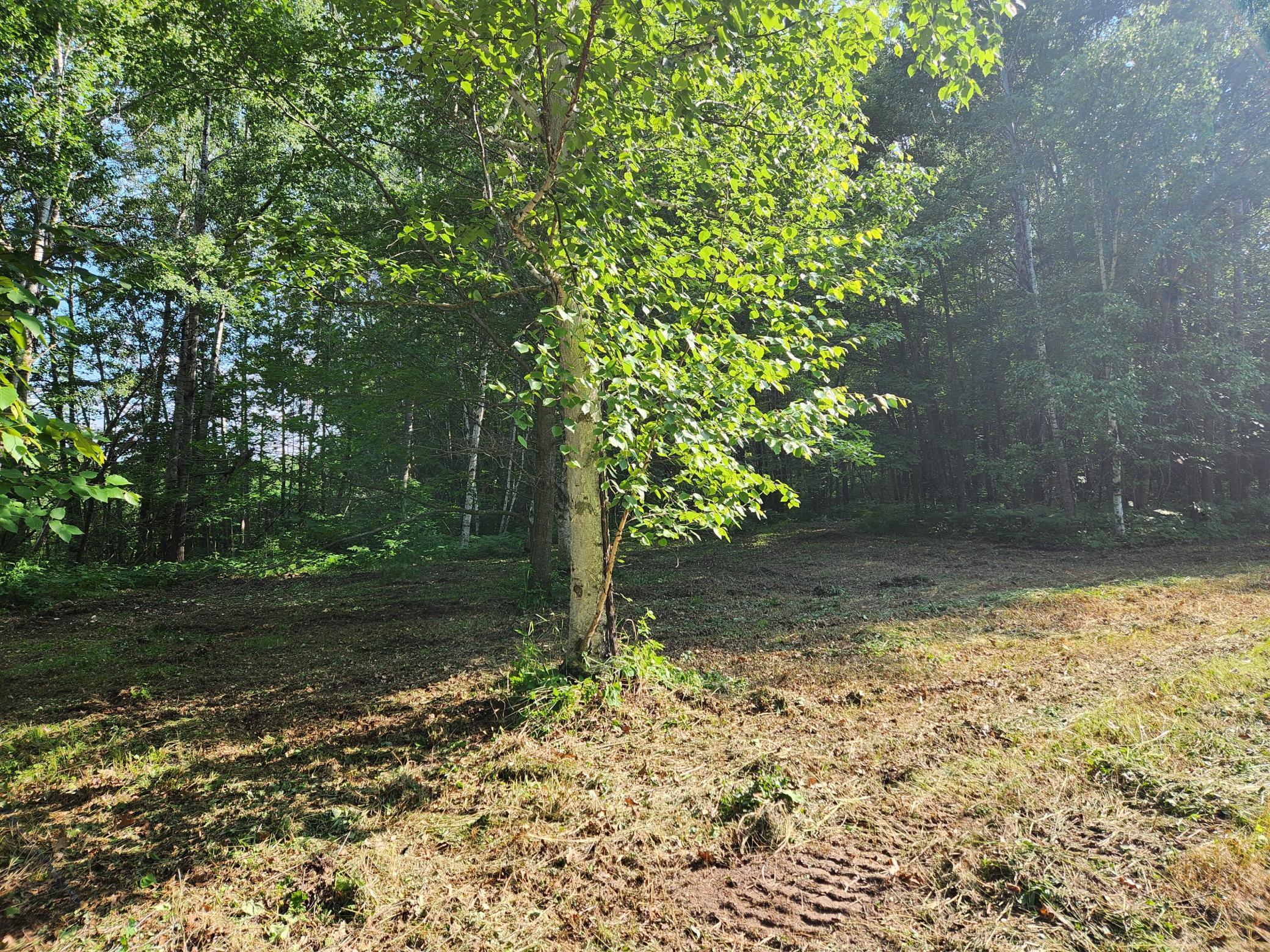land for sale at TBD Nokay Hall Road in Brainerd, MN (photo 24 of 31)