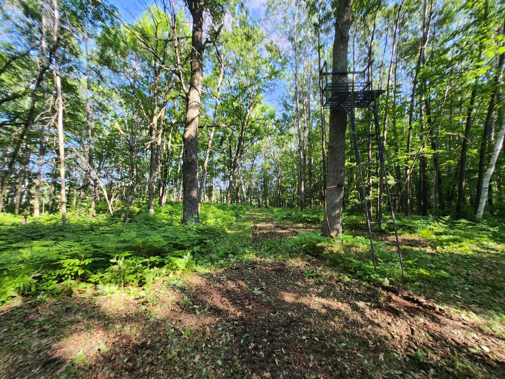 land for sale at TBD Nokay Hall Road in Brainerd, MN (photo 25 of 31)