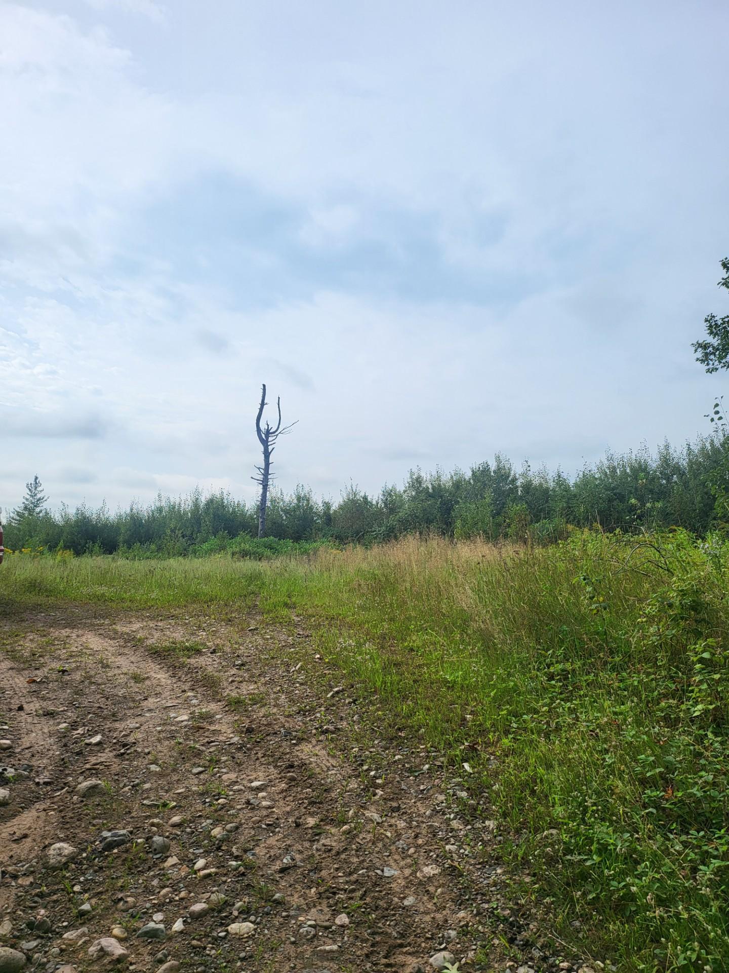 land for sale at TBD Nokay Hall Road in Brainerd, MN (photo 4 of 31)