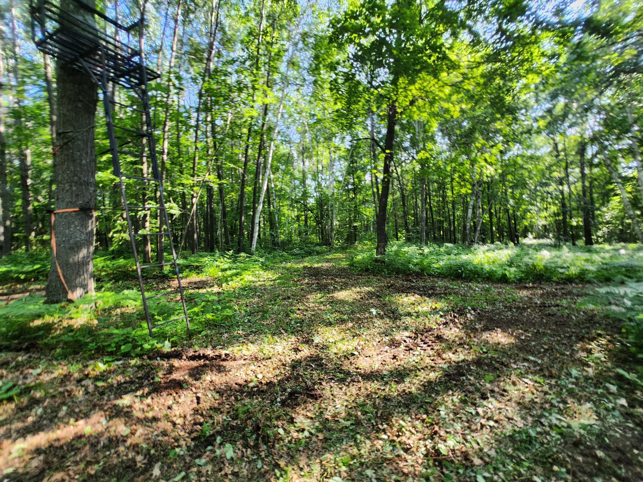 land for sale at TBD Nokay Hall Road in Brainerd, MN (photo 26 of 31)