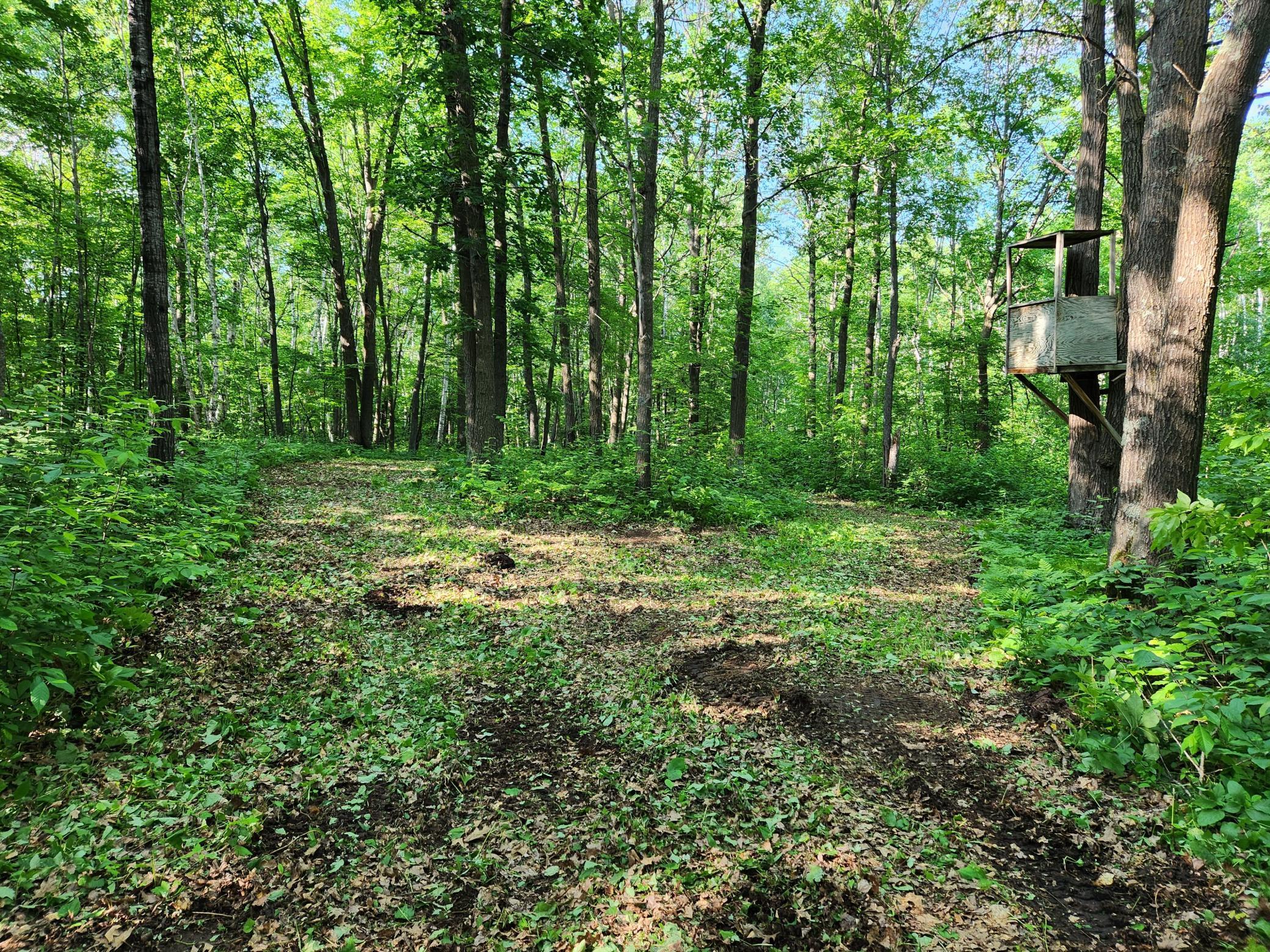 land for sale at TBD Nokay Hall Road in Brainerd, MN (photo 27 of 31)