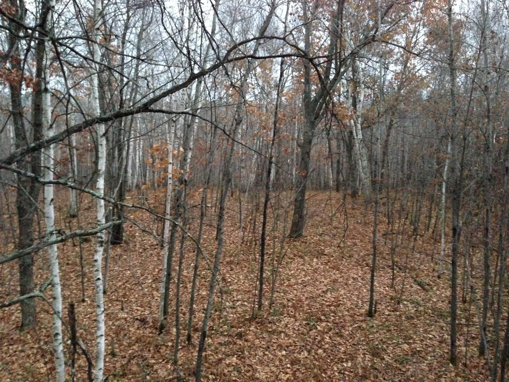 land for sale at TBD Nokay Hall Road in Brainerd, MN (photo 30 of 31)