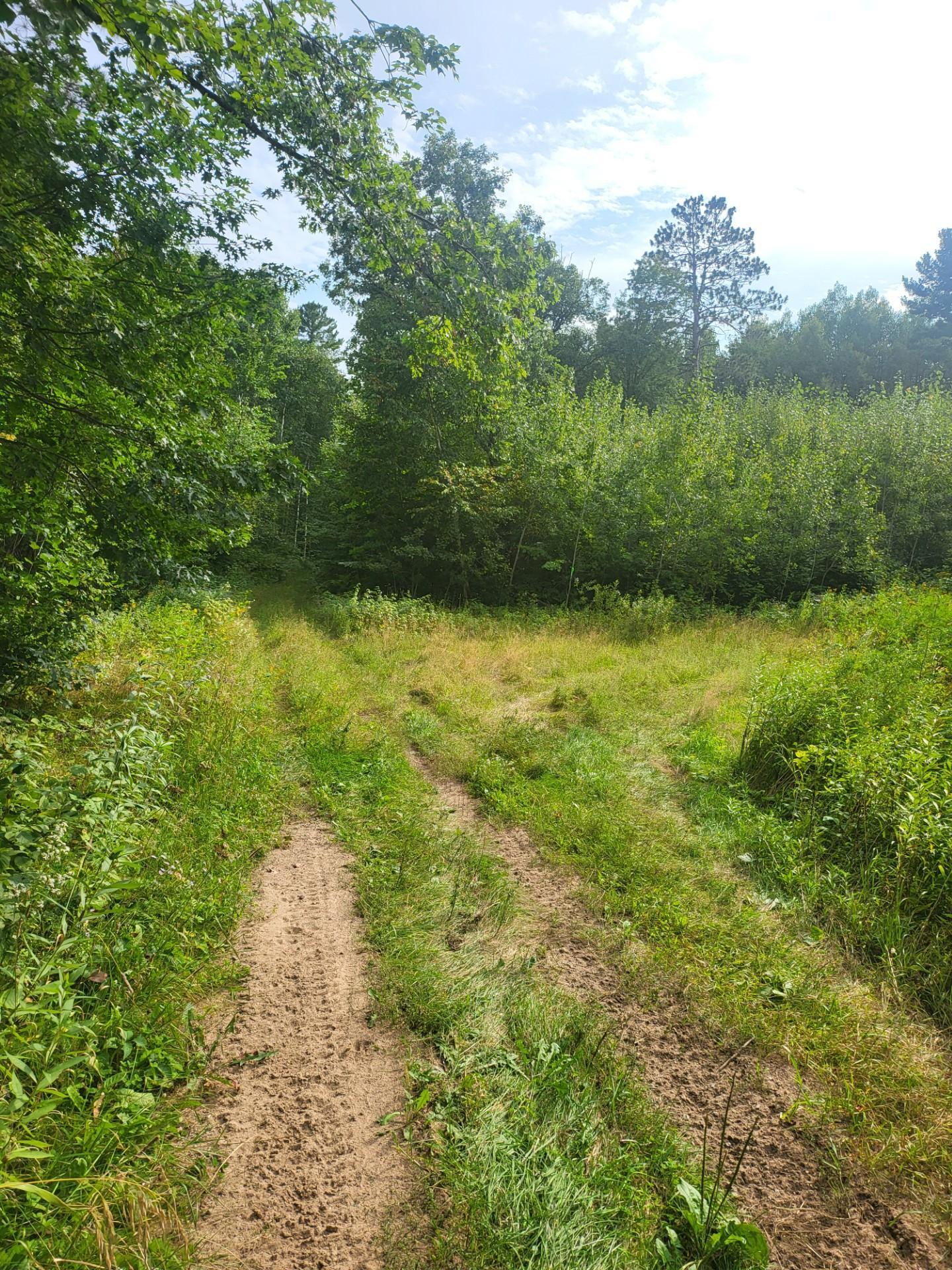 land for sale at TBD Nokay Hall Road in Brainerd, MN (photo 6 of 31)