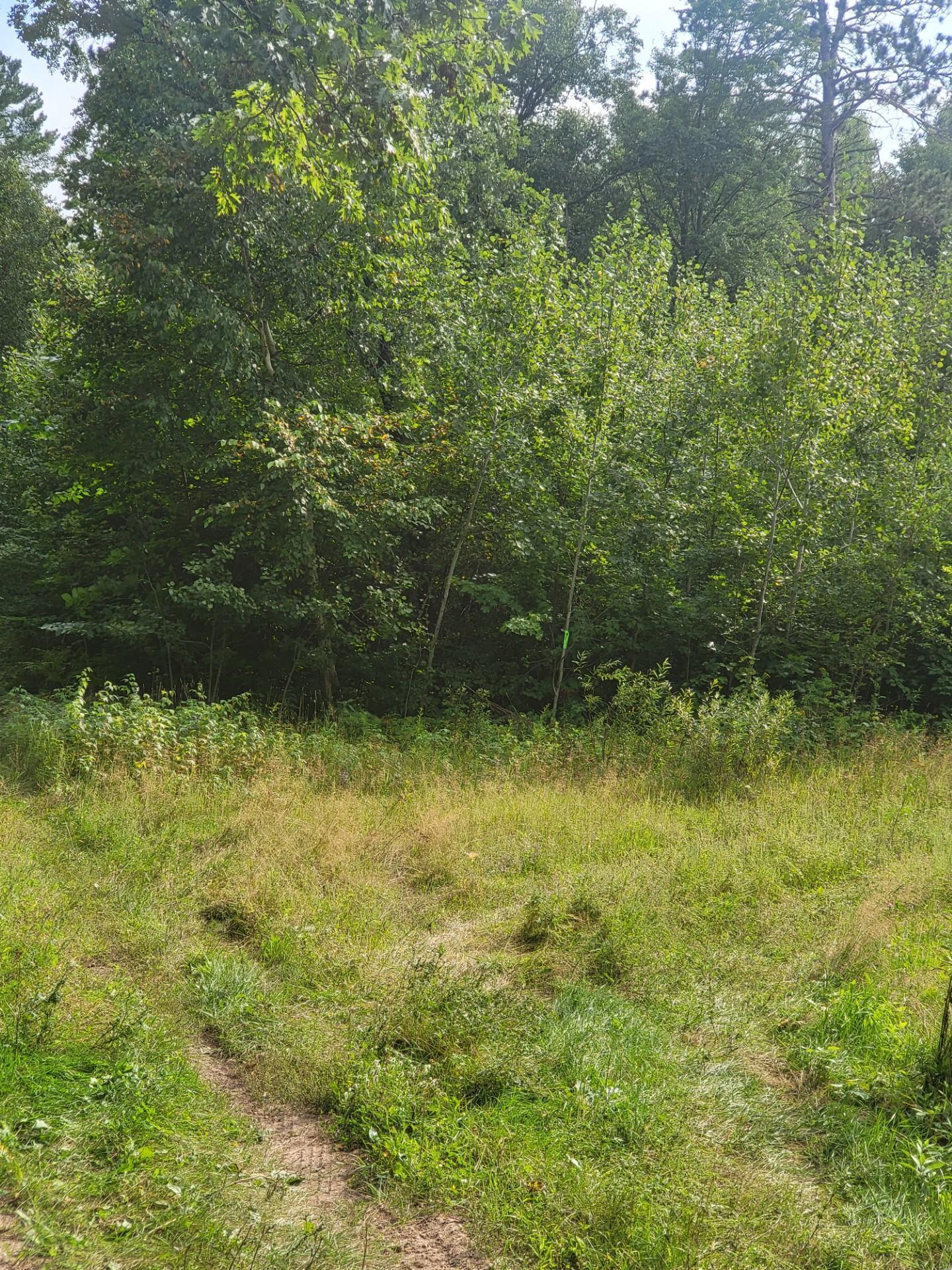 land for sale at TBD Nokay Hall Road in Brainerd, MN (photo 8 of 31)