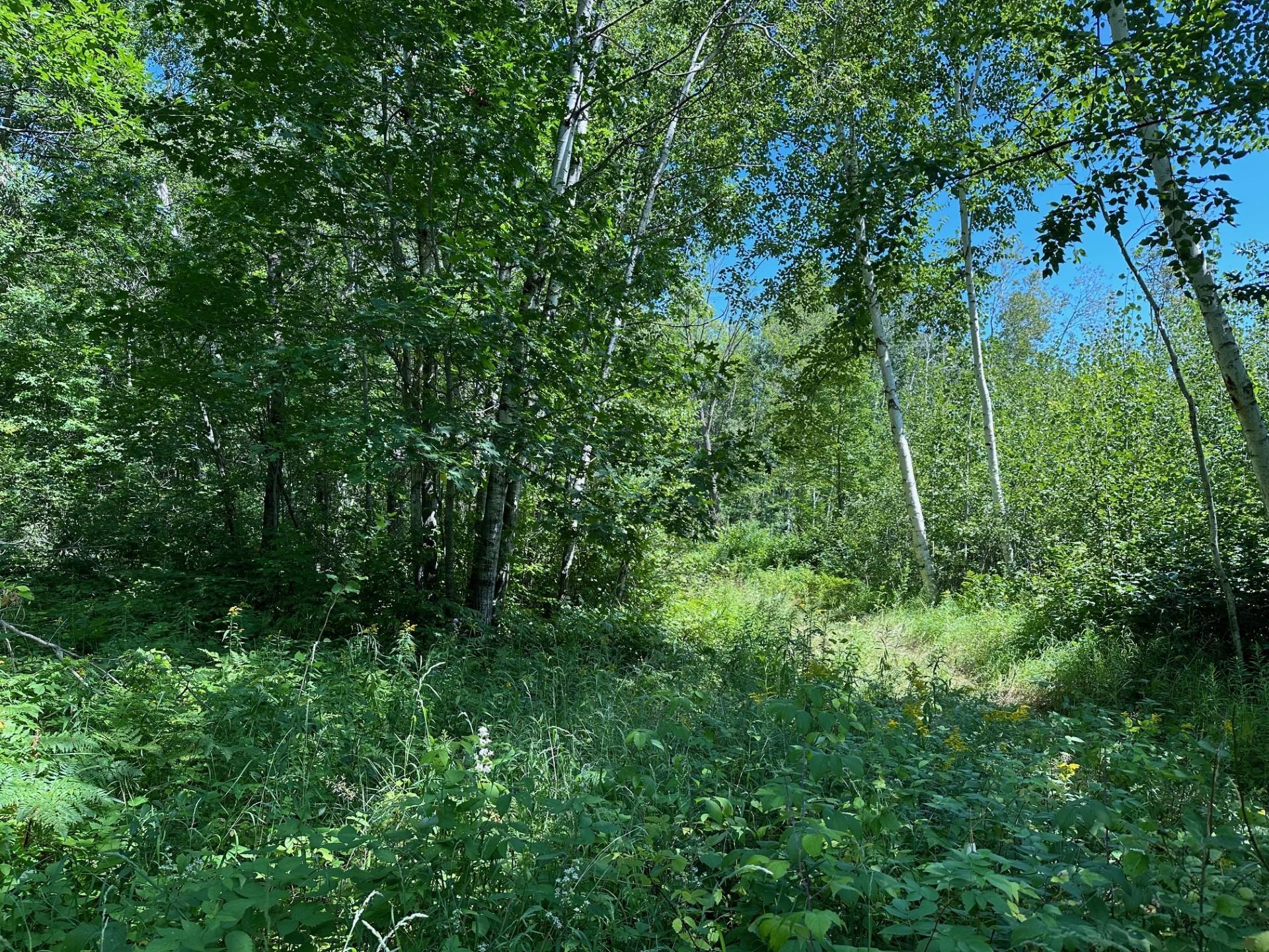 land for sale at TBD Nokay Hall Road in Brainerd, MN (photo 9 of 31)