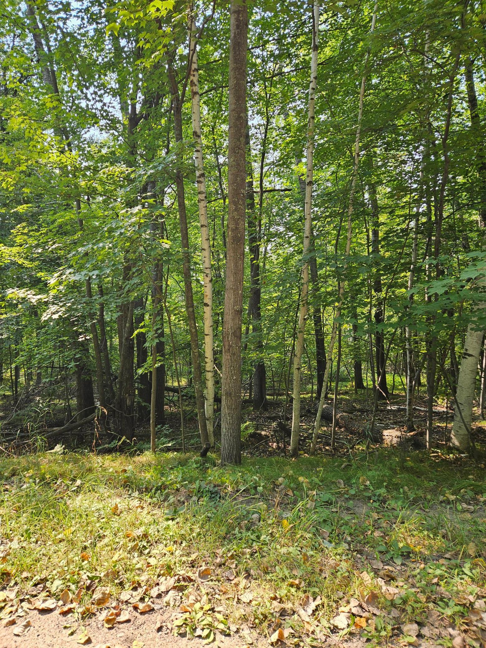 land for sale at Lots 41-43 Catskill Drive in Breezy Point, MN (photo 3 of 4)