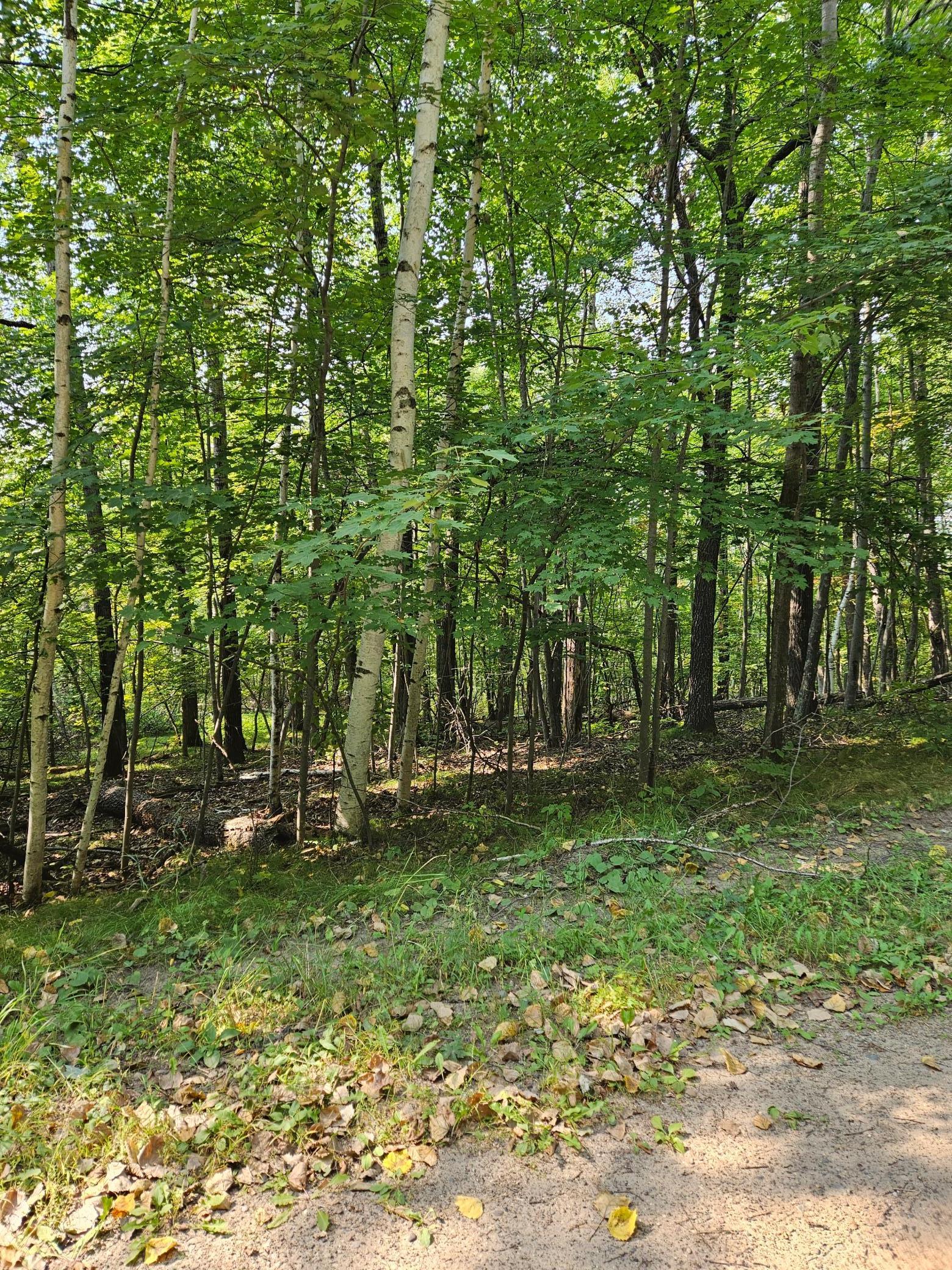 land for sale at Lots 41-43 Catskill Drive in Breezy Point, MN (photo 4 of 4)