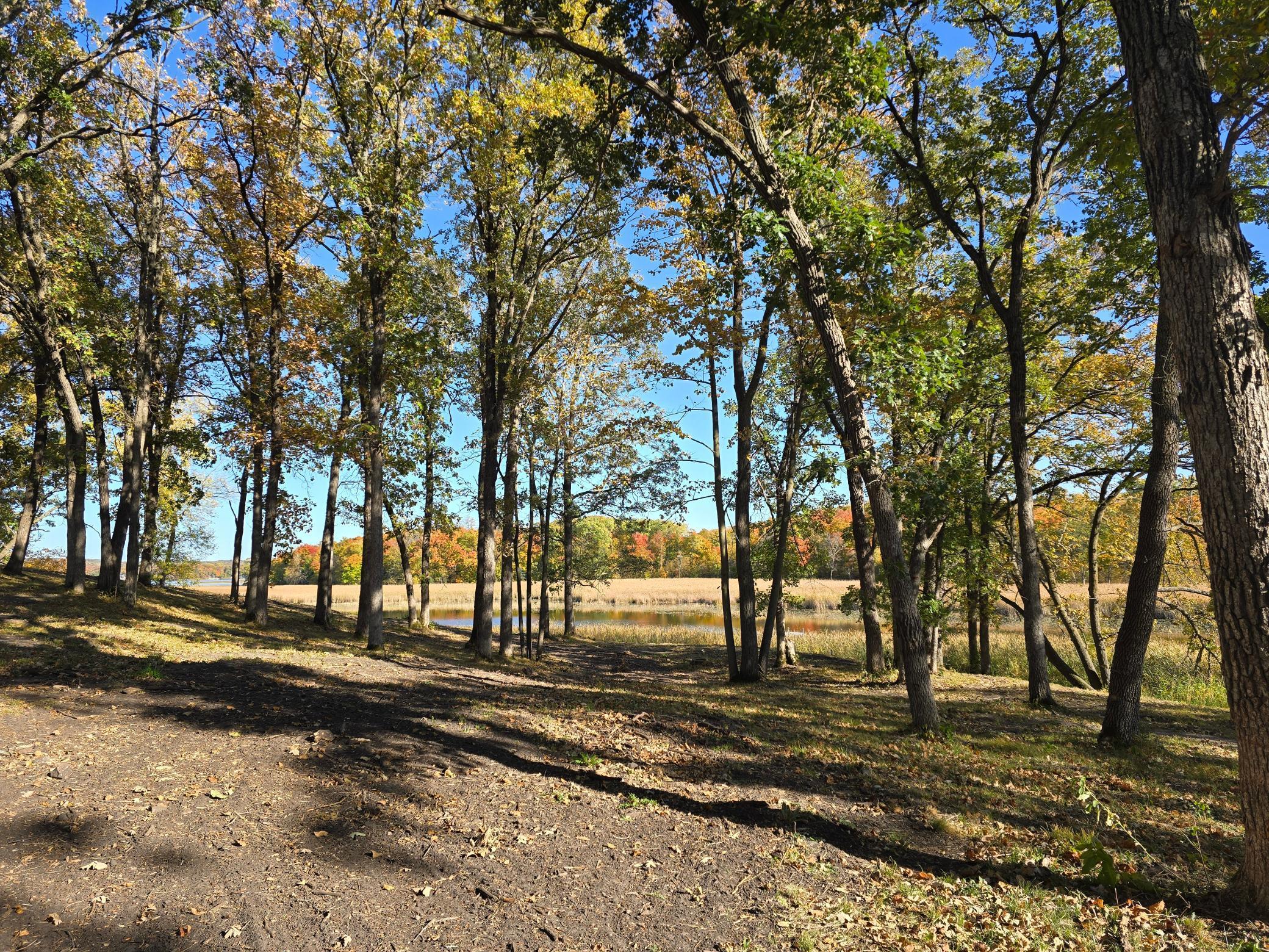 land for sale at Tract A Blybergs Lane in Pelican Rapids, MN (photo 44 of 74)