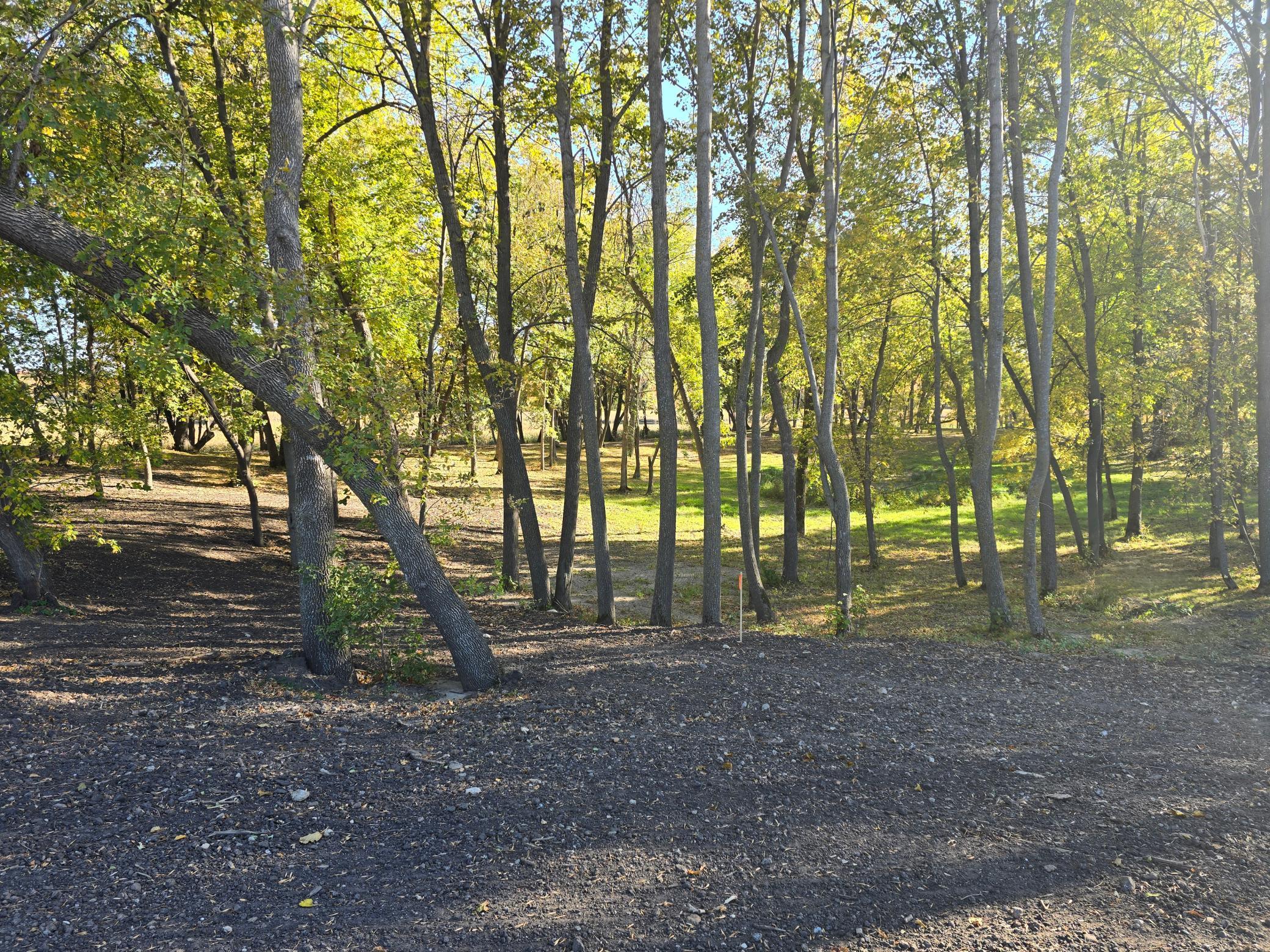 land for sale at Tract A Blybergs Lane in Pelican Rapids, MN (photo 45 of 74)