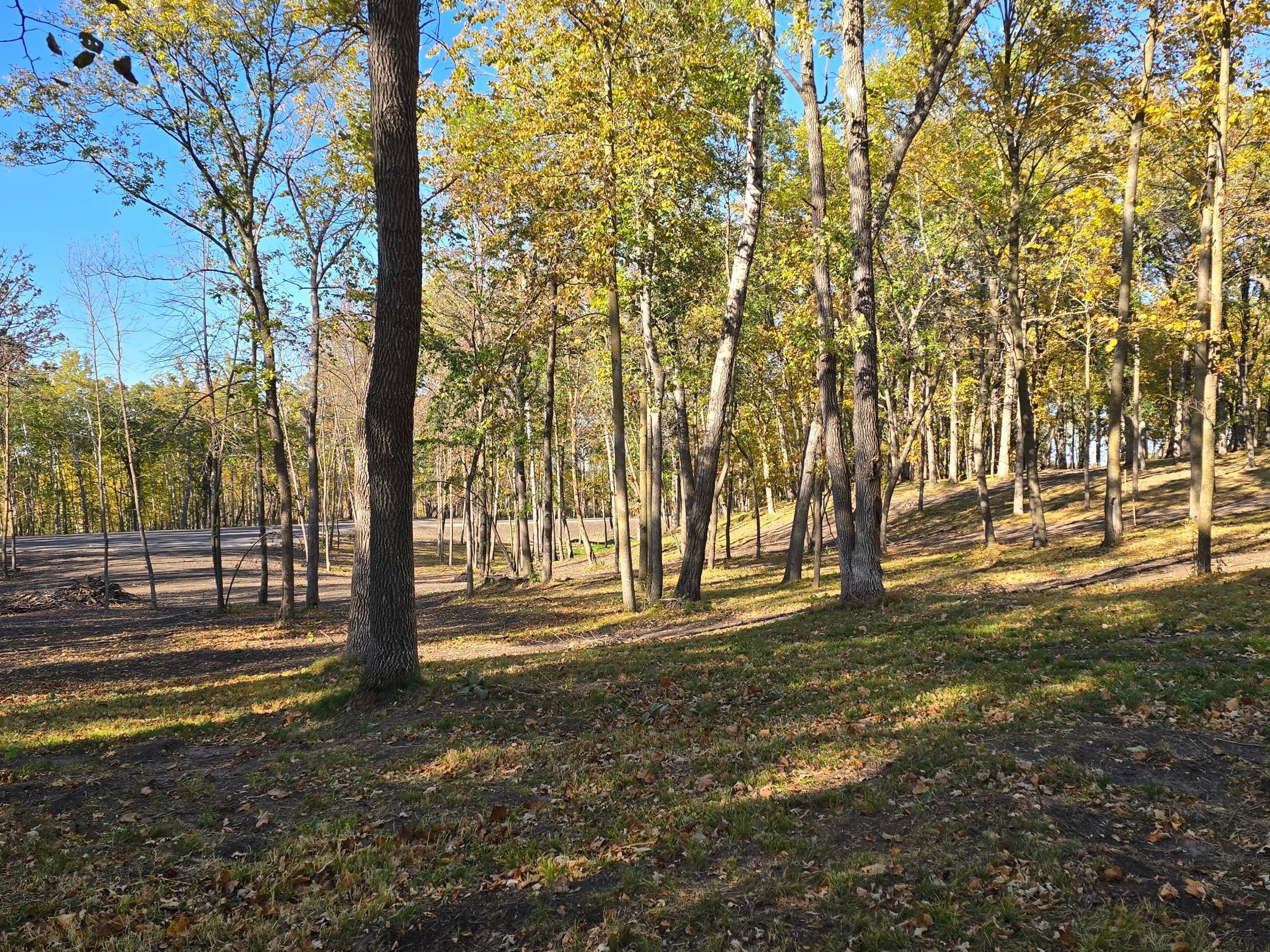 land for sale at Tract B Blybergs Lane in Pelican Rapids, MN (photo 24 of 52)