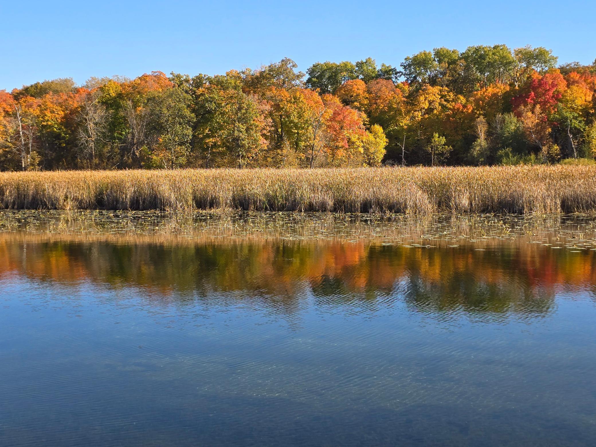 land for sale at Tract B Blybergs Lane in Pelican Rapids, MN (photo 26 of 52)