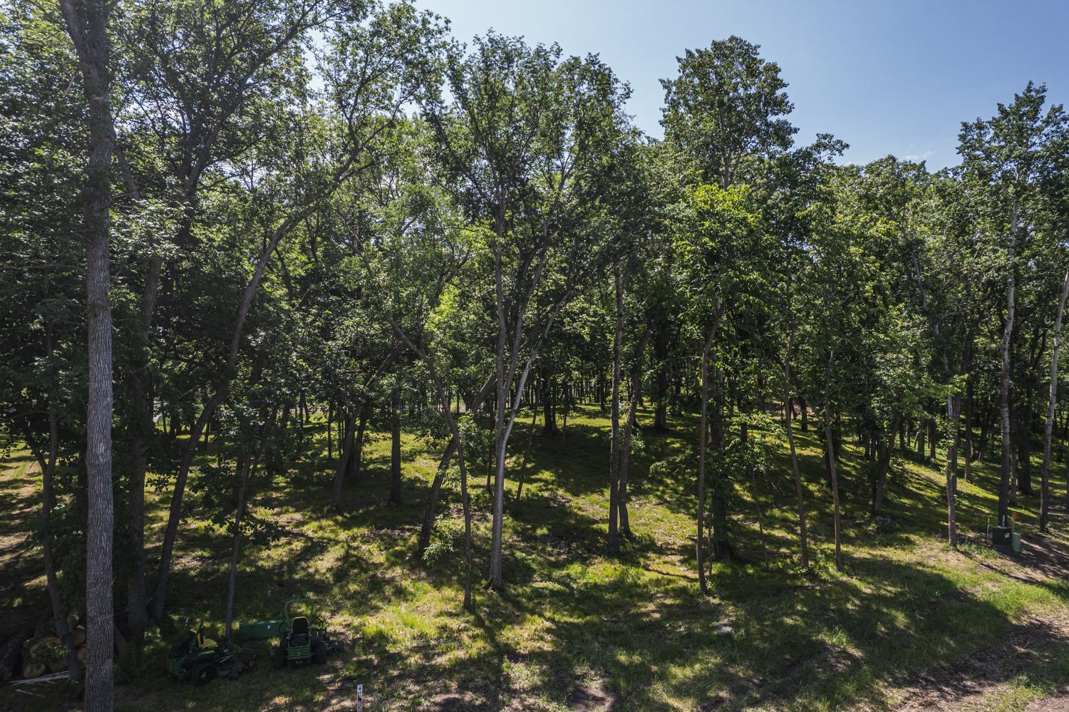 land for sale at Tract B Blybergs Lane in Pelican Rapids, MN (photo 40 of 52)
