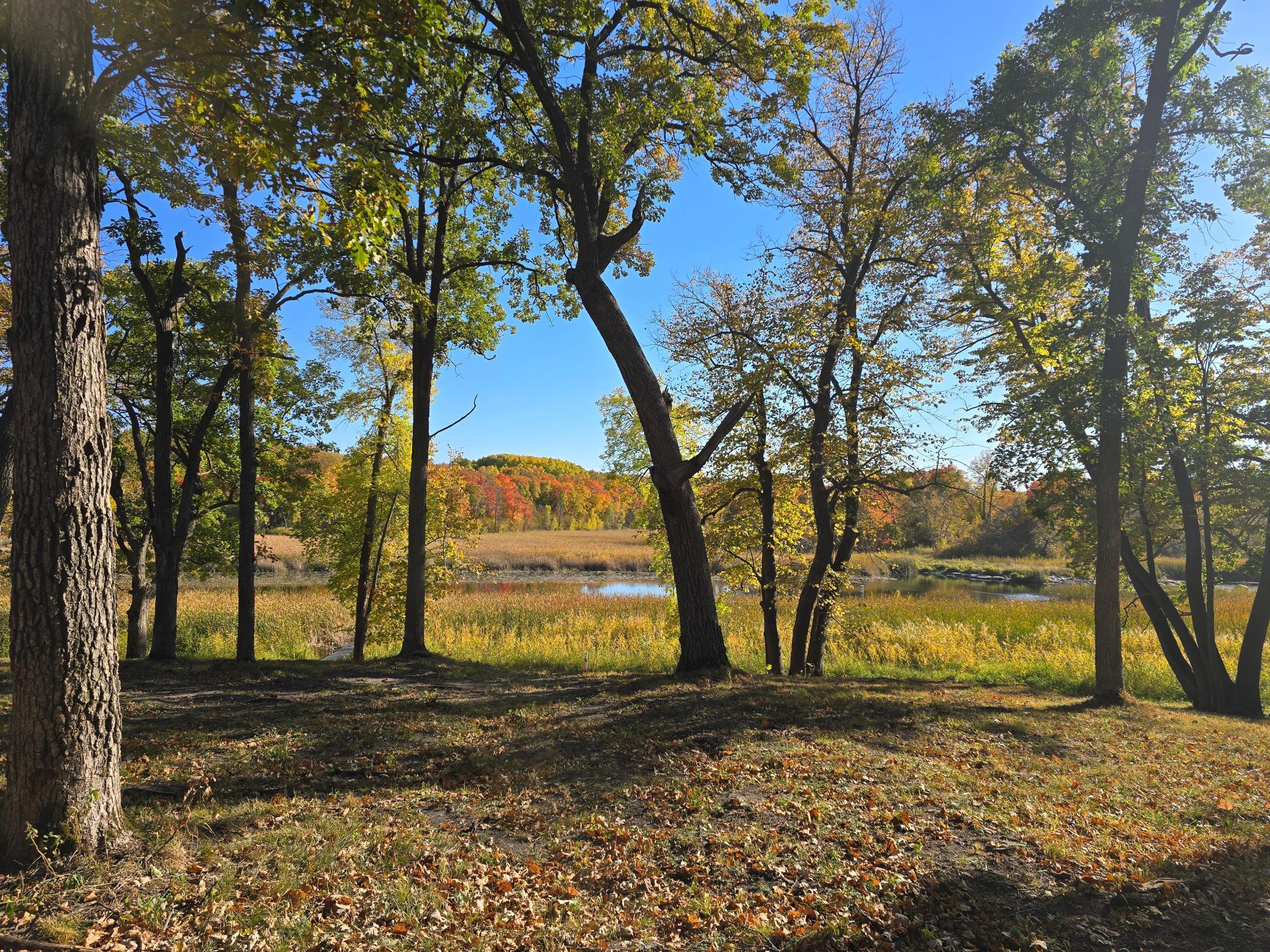 land for sale at Tract B Blybergs Lane in Pelican Rapids, MN (photo 7 of 52)