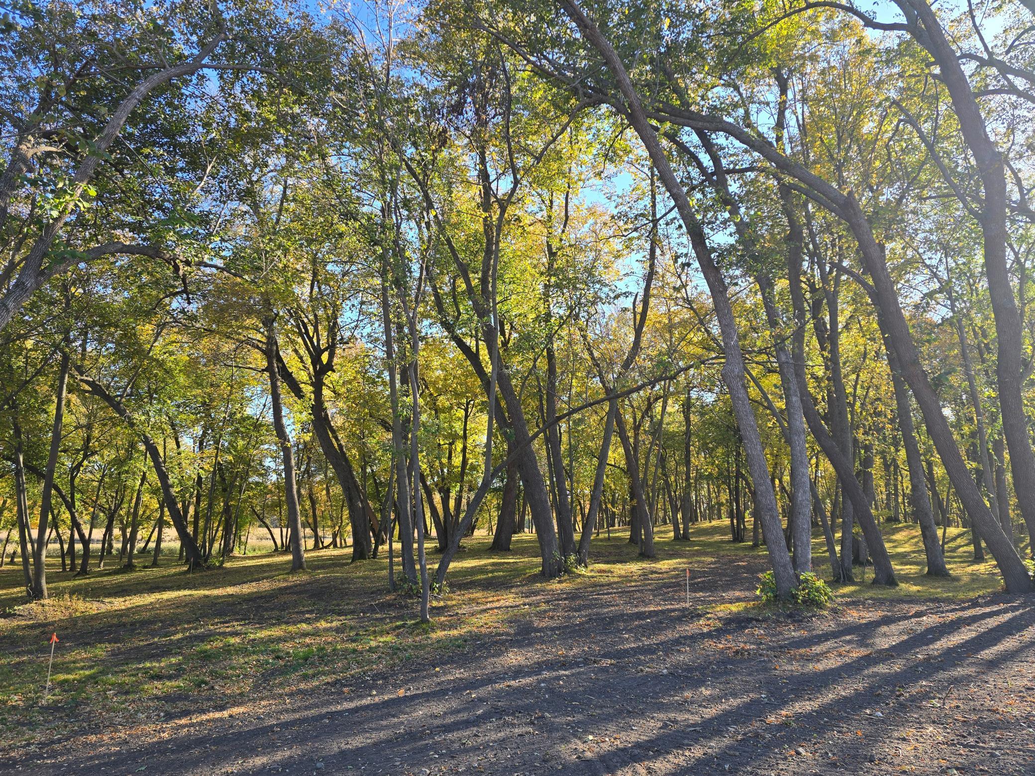 land for sale at Tract C Blybergs Lane in Pelican Rapids, MN (photo 24 of 56)