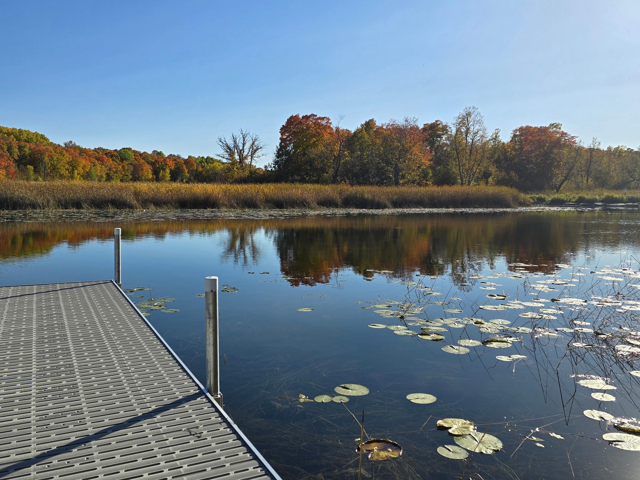 land for sale at Tract C Blybergs Lane in Pelican Rapids, MN (photo 34 of 56)