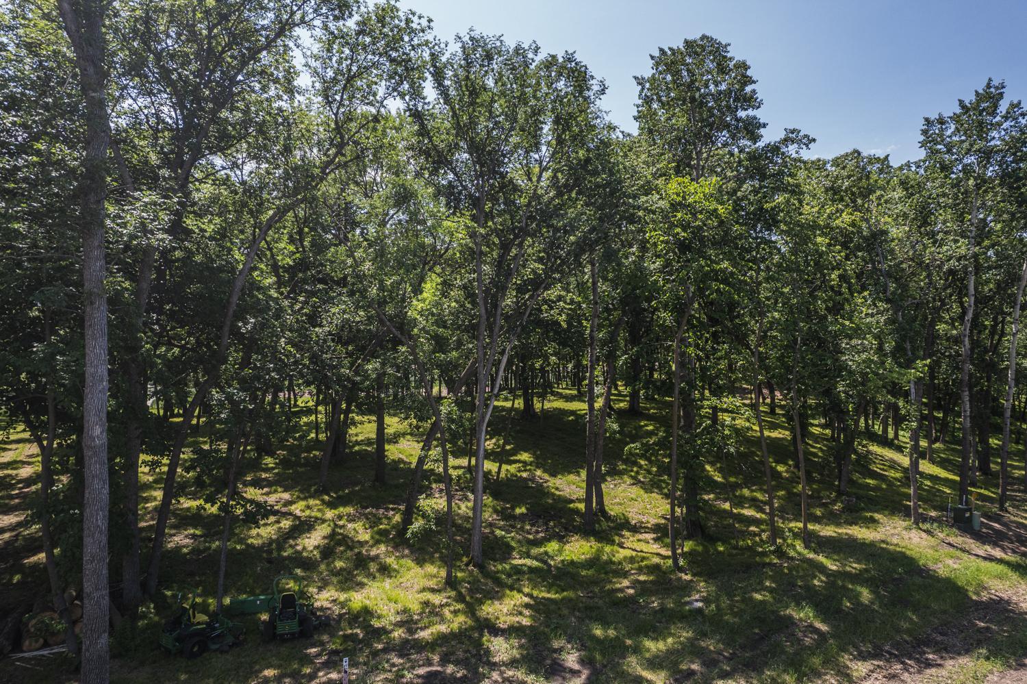 land for sale at Tract C Blybergs Lane in Pelican Rapids, MN (photo 41 of 56)