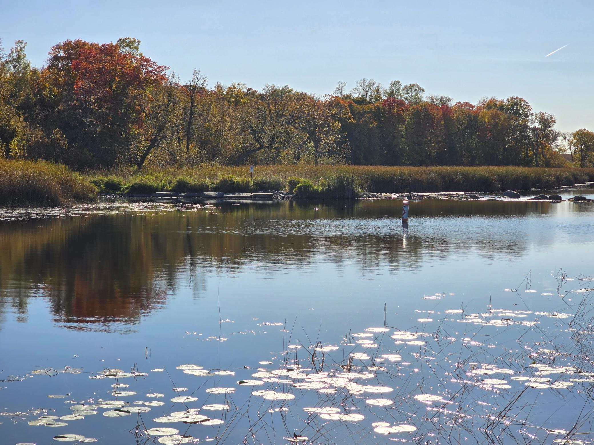 land for sale at Tract E Blybergs Lane in Pelican Rapids, MN (photo 26 of 46)