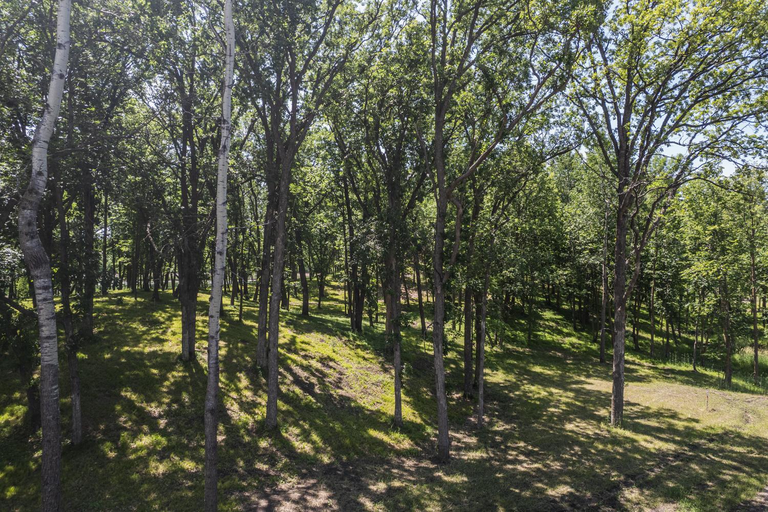 land for sale at Tract I Blybergs Lane in Pelican Rapids, MN (photo 34 of 48)