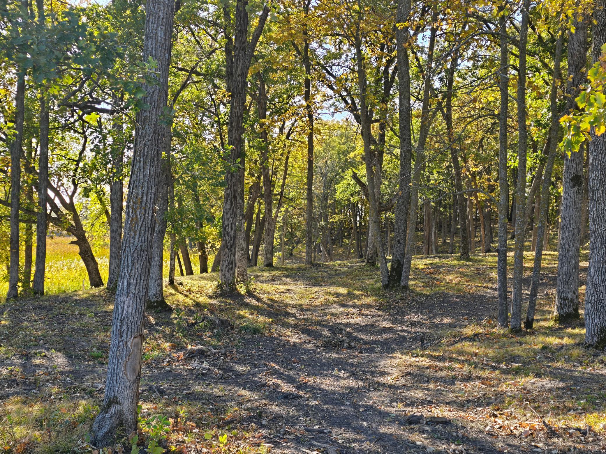 land for sale at Tract J Blybergs Lane in Pelican Rapids, MN (photo 22 of 43)