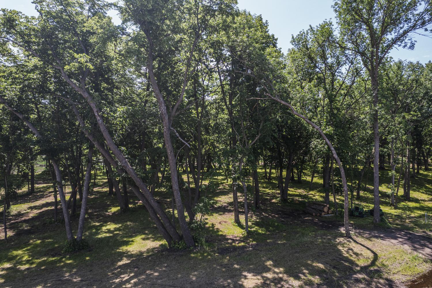 land for sale at Tract K Blybergs Lane in Pelican Rapids, MN (photo 29 of 40)
