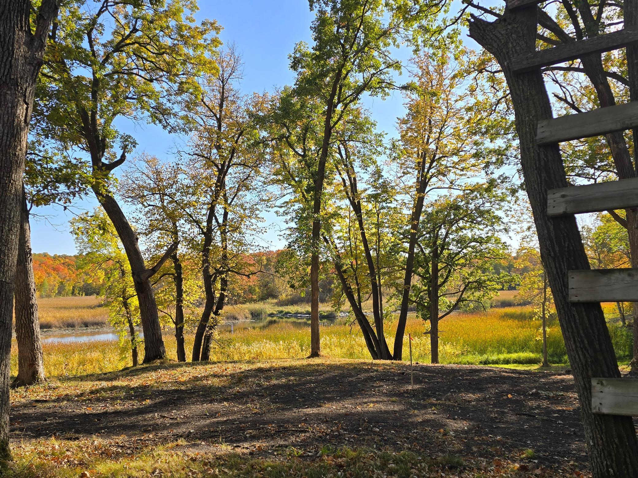 land for sale at Tract M Blybergs Lane in Pelican Rapids, MN (photo 21 of 39)