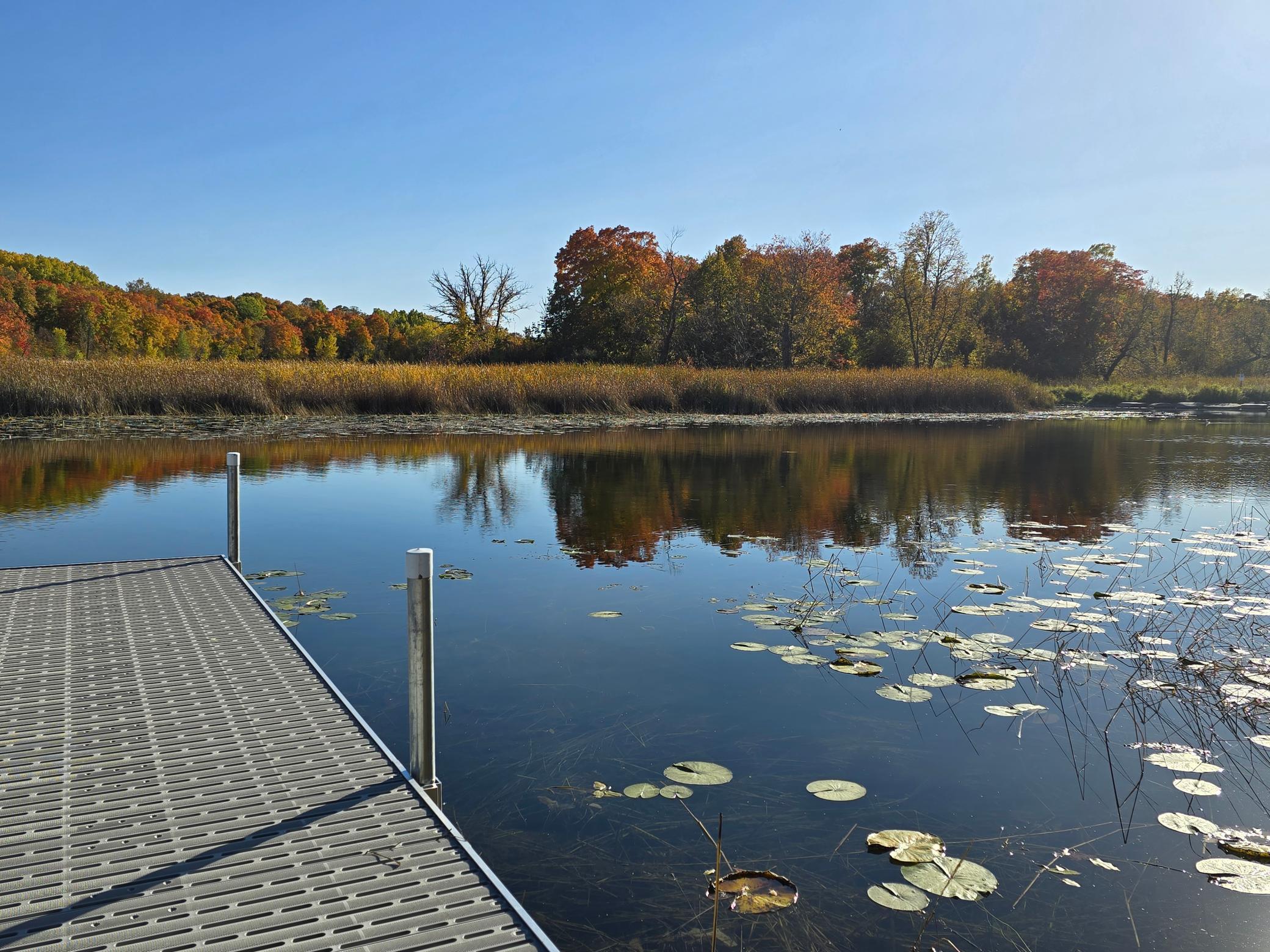 land for sale at Tract N Blybergs Lane in Pelican Rapids, MN (photo 24 of 34)