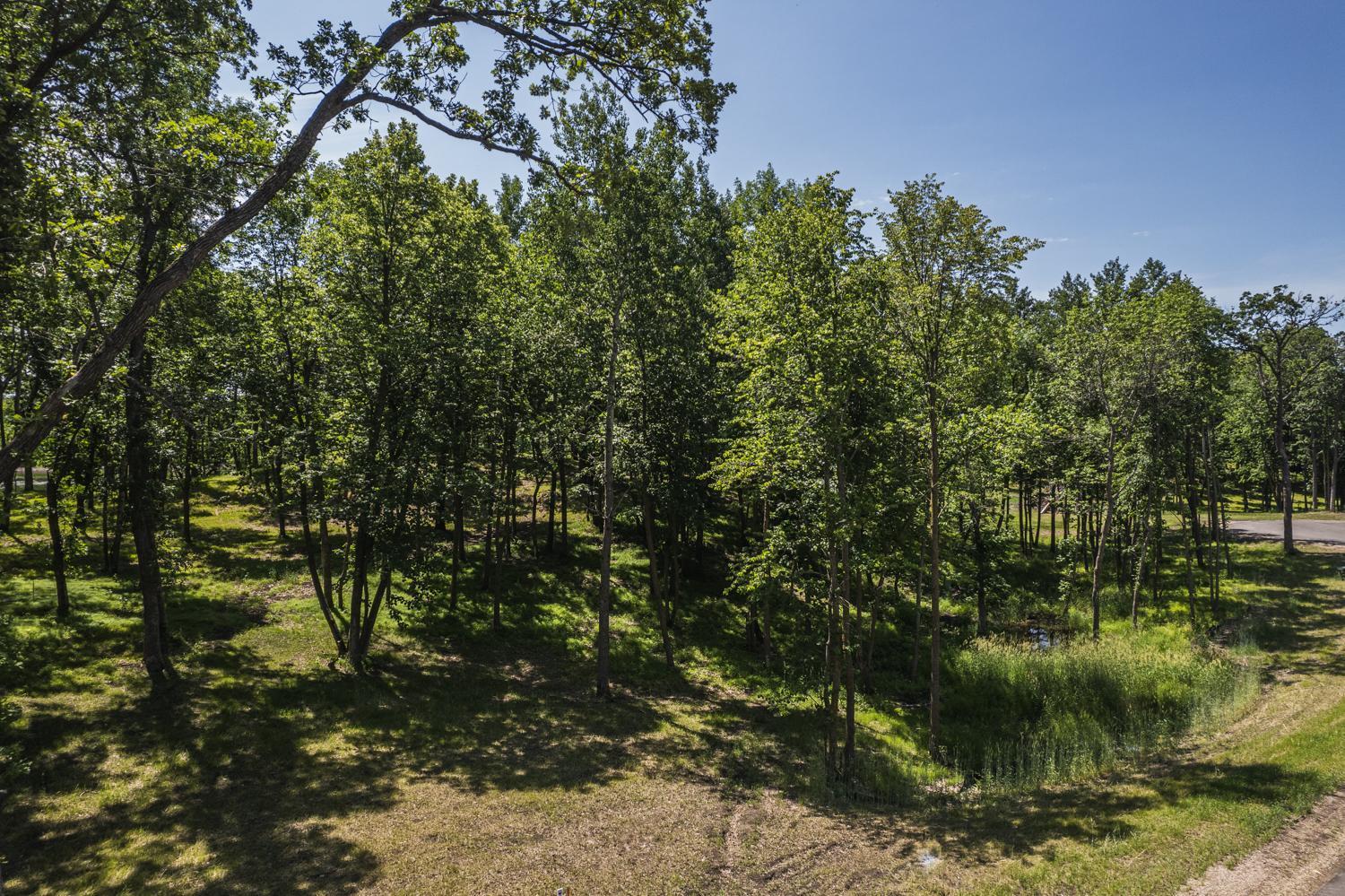 land for sale at Tract N Blybergs Lane in Pelican Rapids, MN (photo 30 of 34)