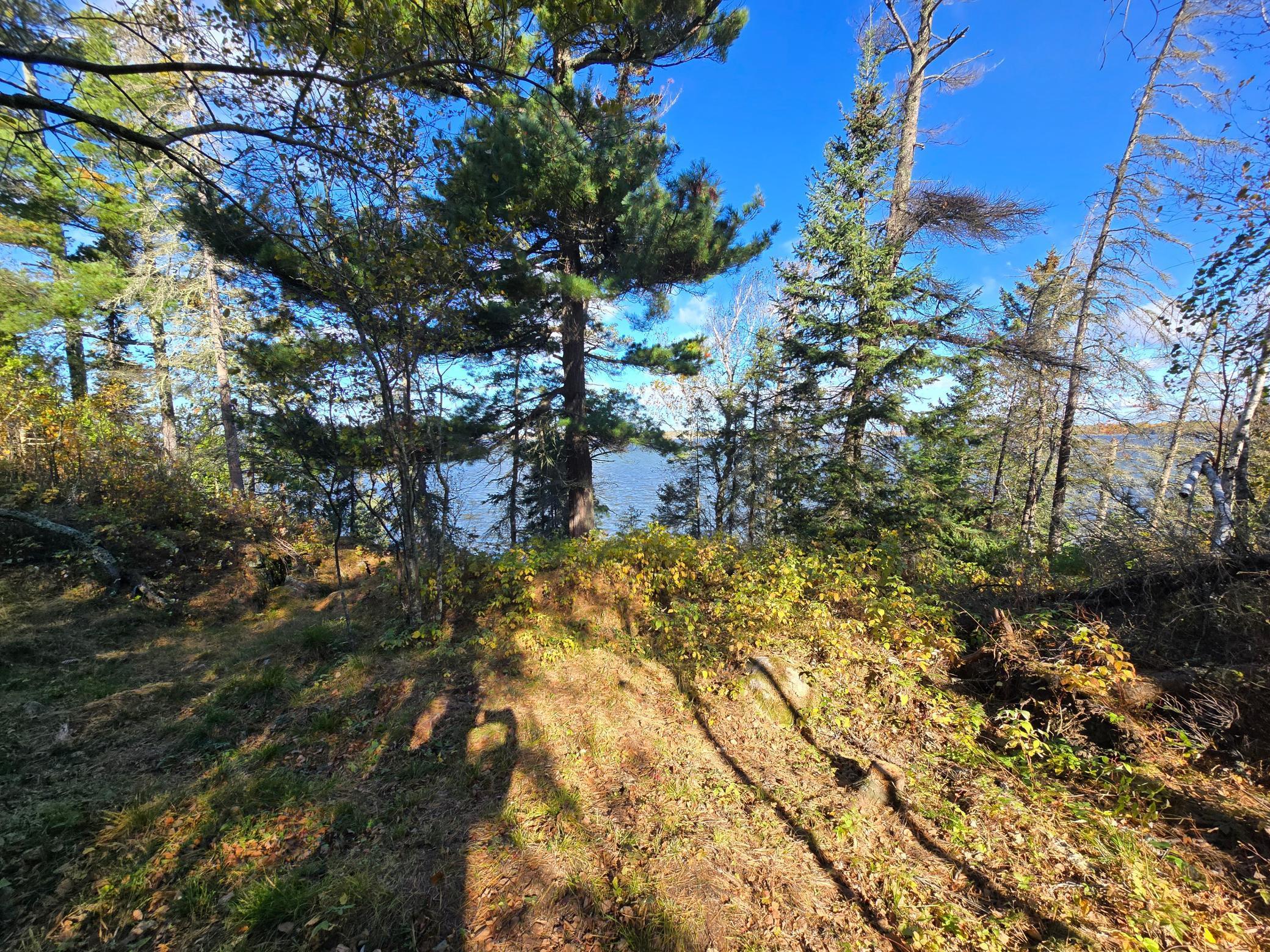 land for sale at Tract 8 Brush Island in Angle Inlet, MN (photo 2 of 23)