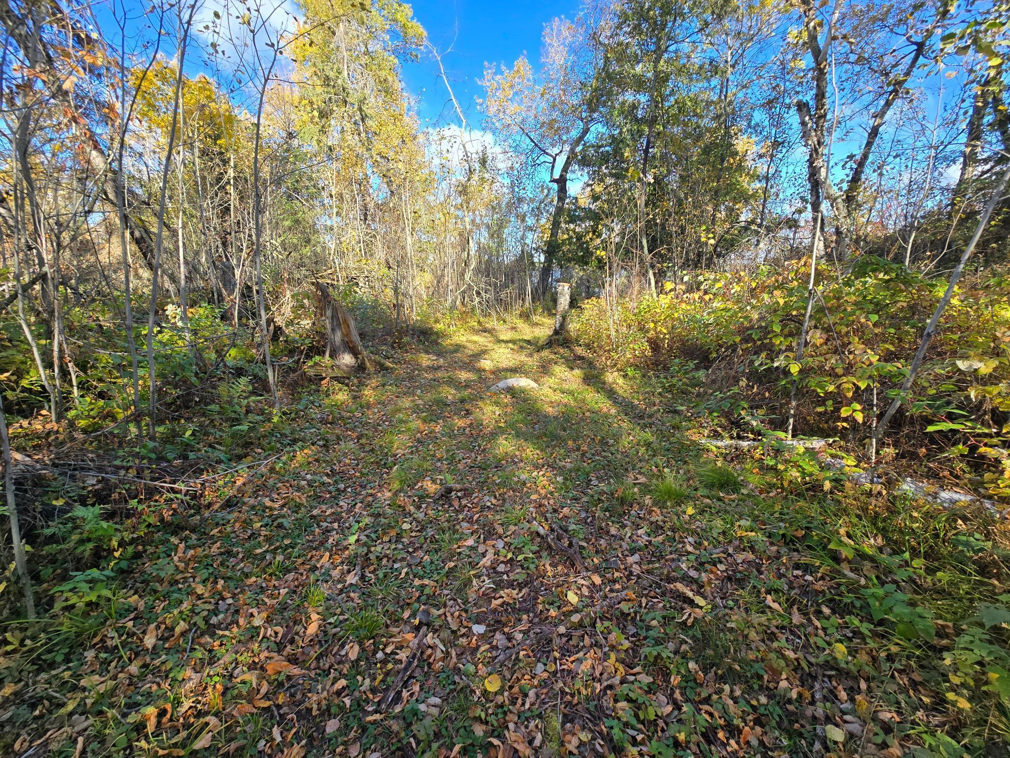 land for sale at Tract 8 Brush Island in Angle Inlet, MN (photo 20 of 23)