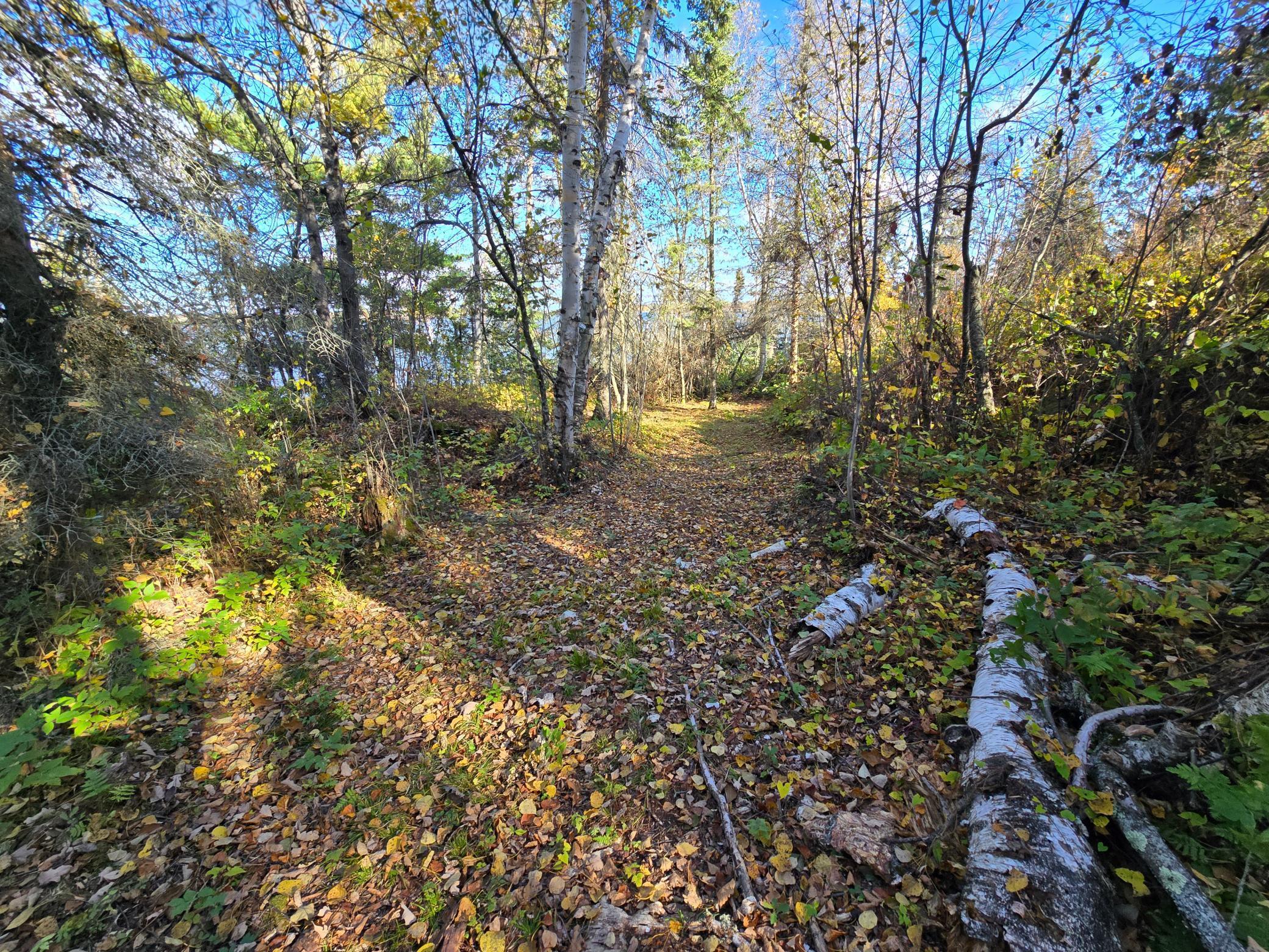 land for sale at Tract 8 Brush Island in Angle Inlet, MN (photo 21 of 23)