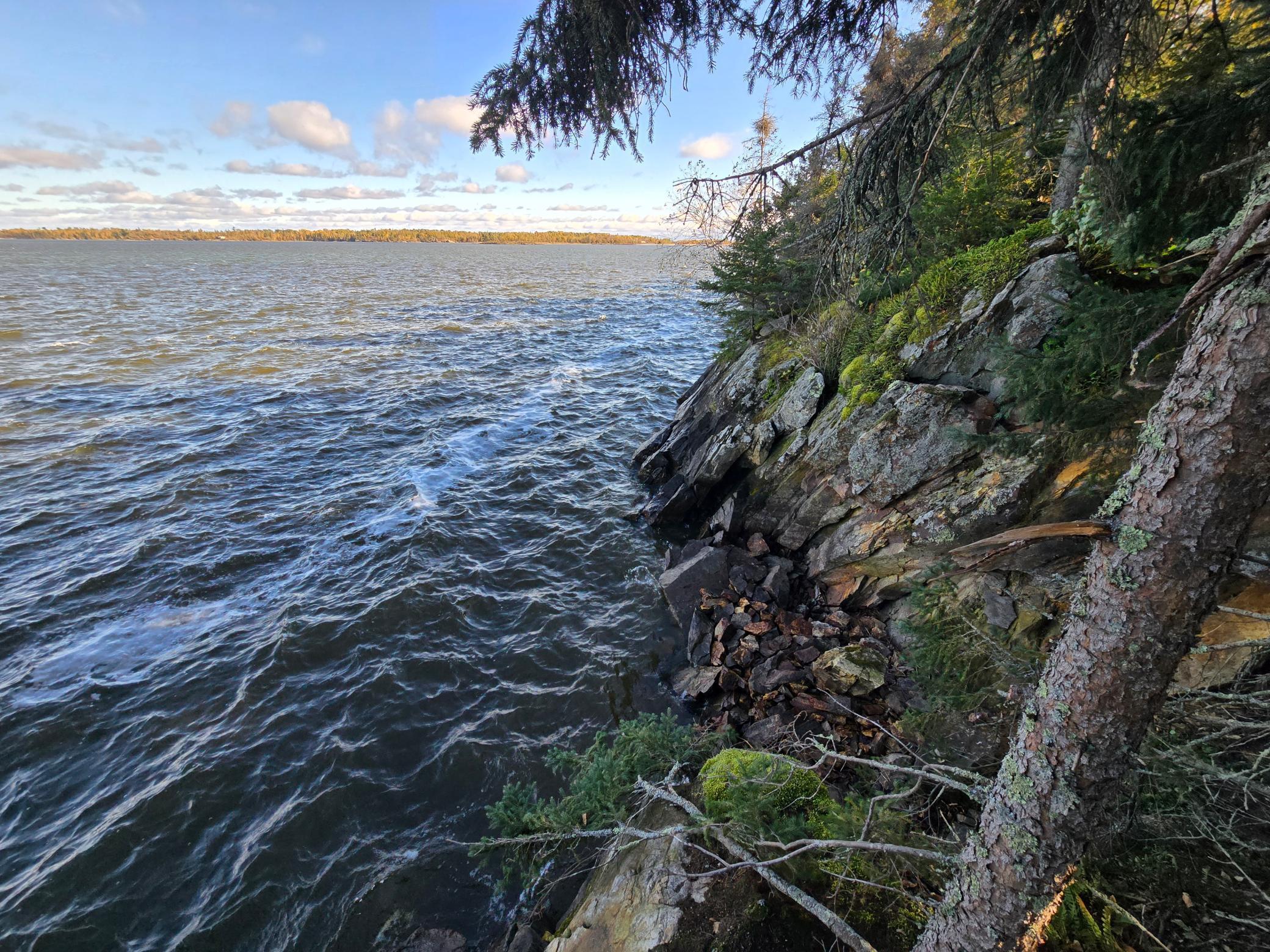 land for sale at Tract 8 Brush Island in Angle Inlet, MN (photo 23 of 23)