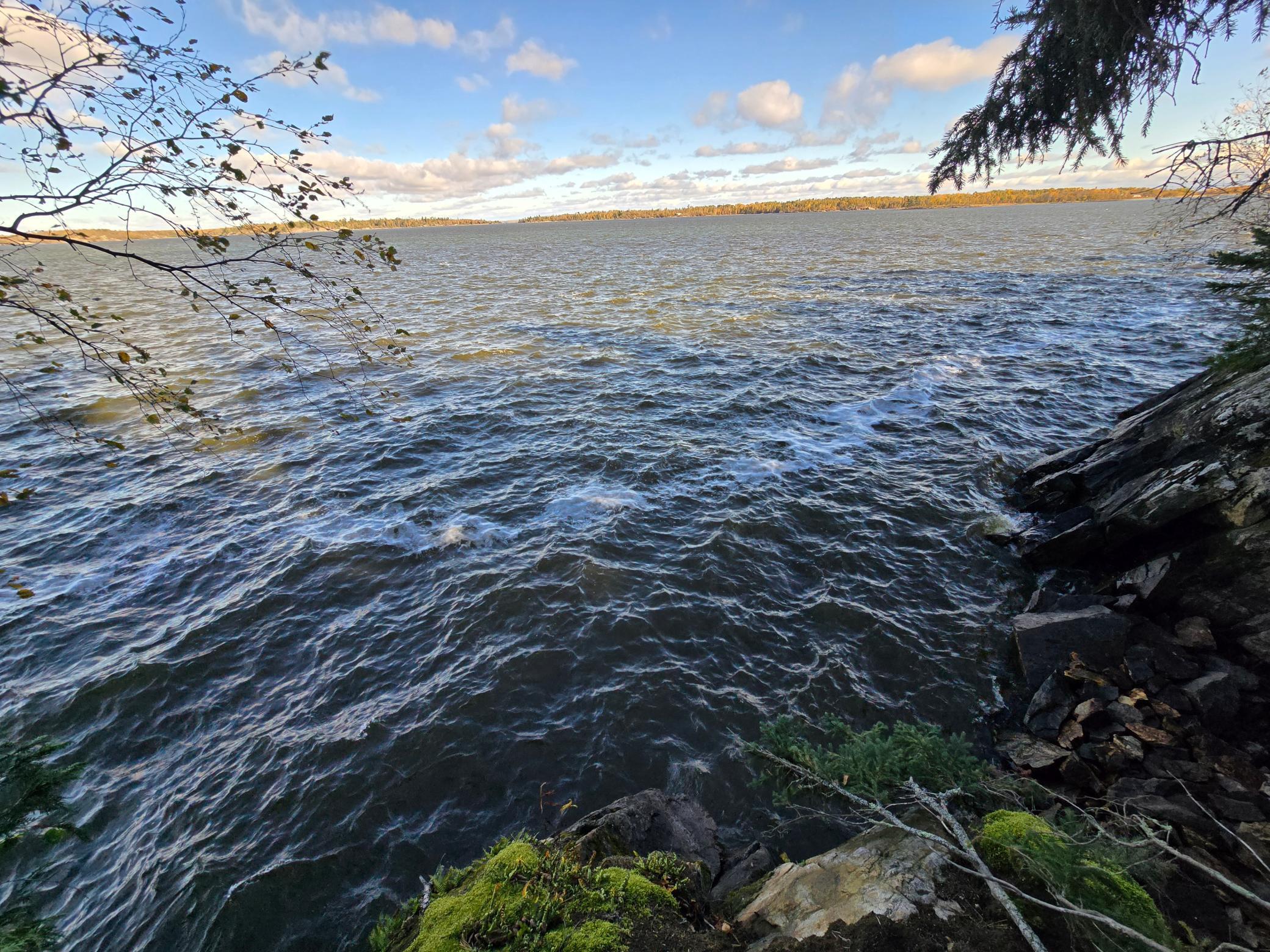 land for sale at Tract 8 Brush Island in Angle Inlet, MN (photo 4 of 23)