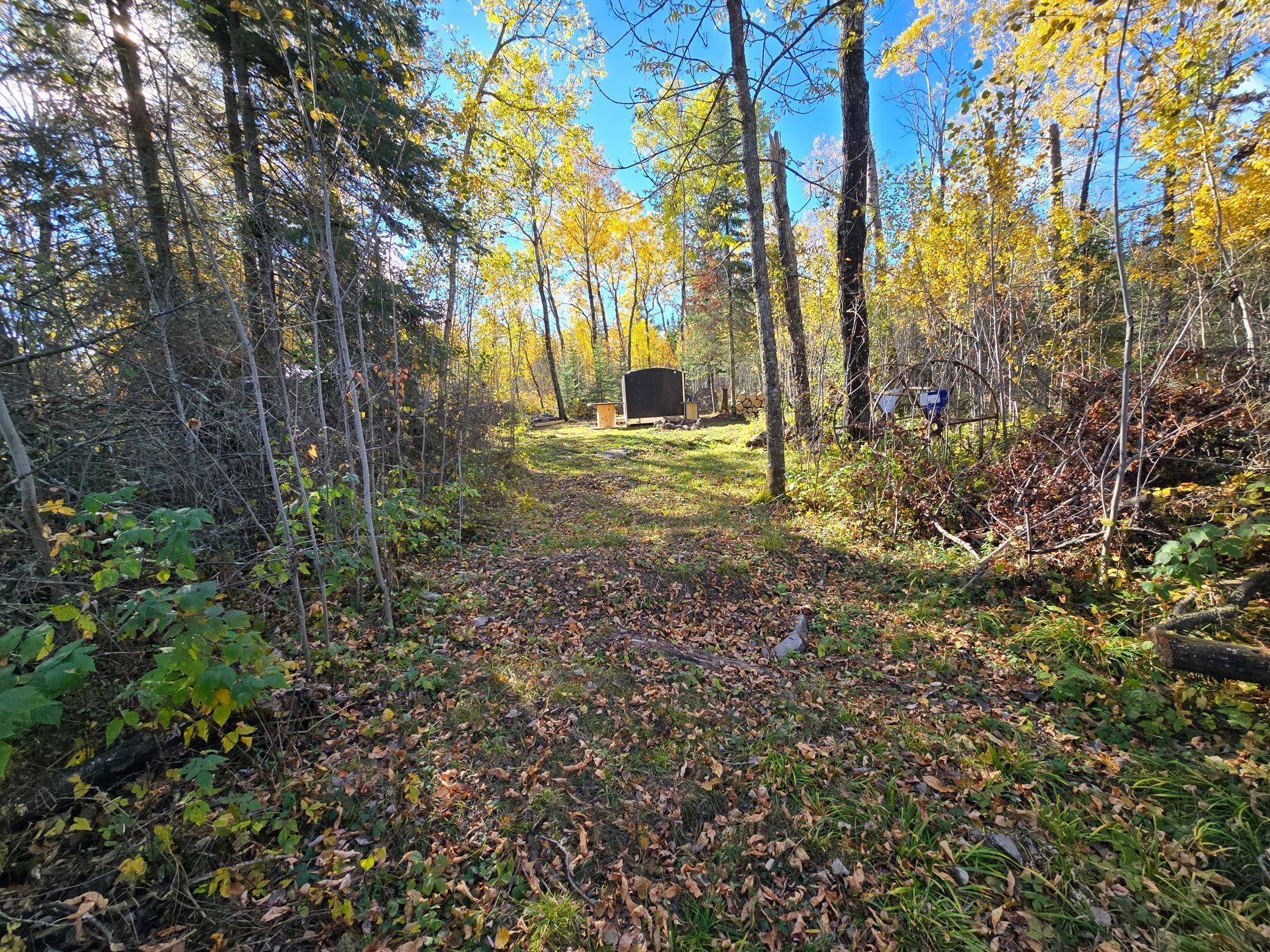 land for sale at Tract 8 Brush Island in Angle Inlet, MN (photo 5 of 23)