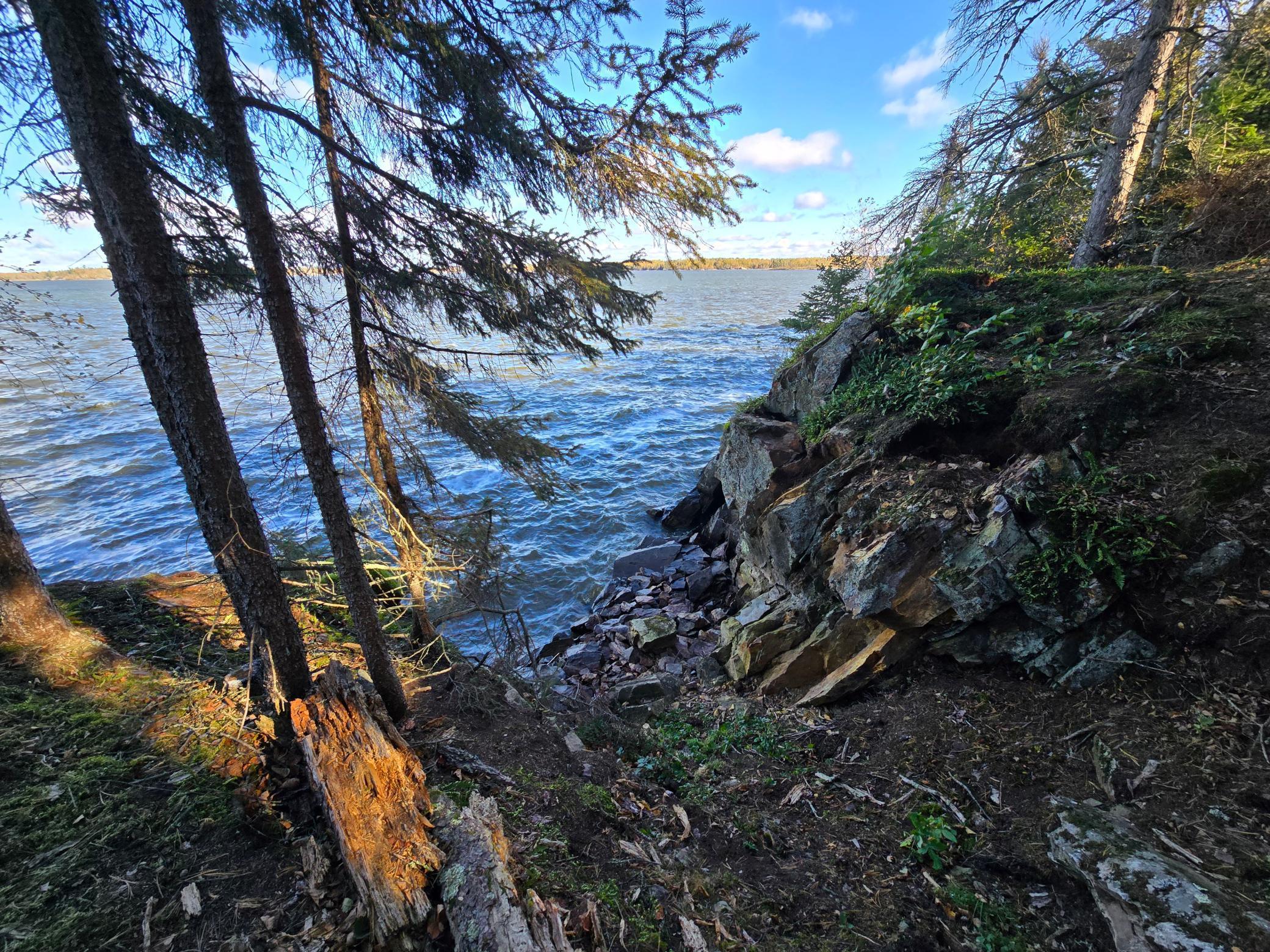land for sale at Tract 8 Brush Island in Angle Inlet, MN (photo 6 of 23)