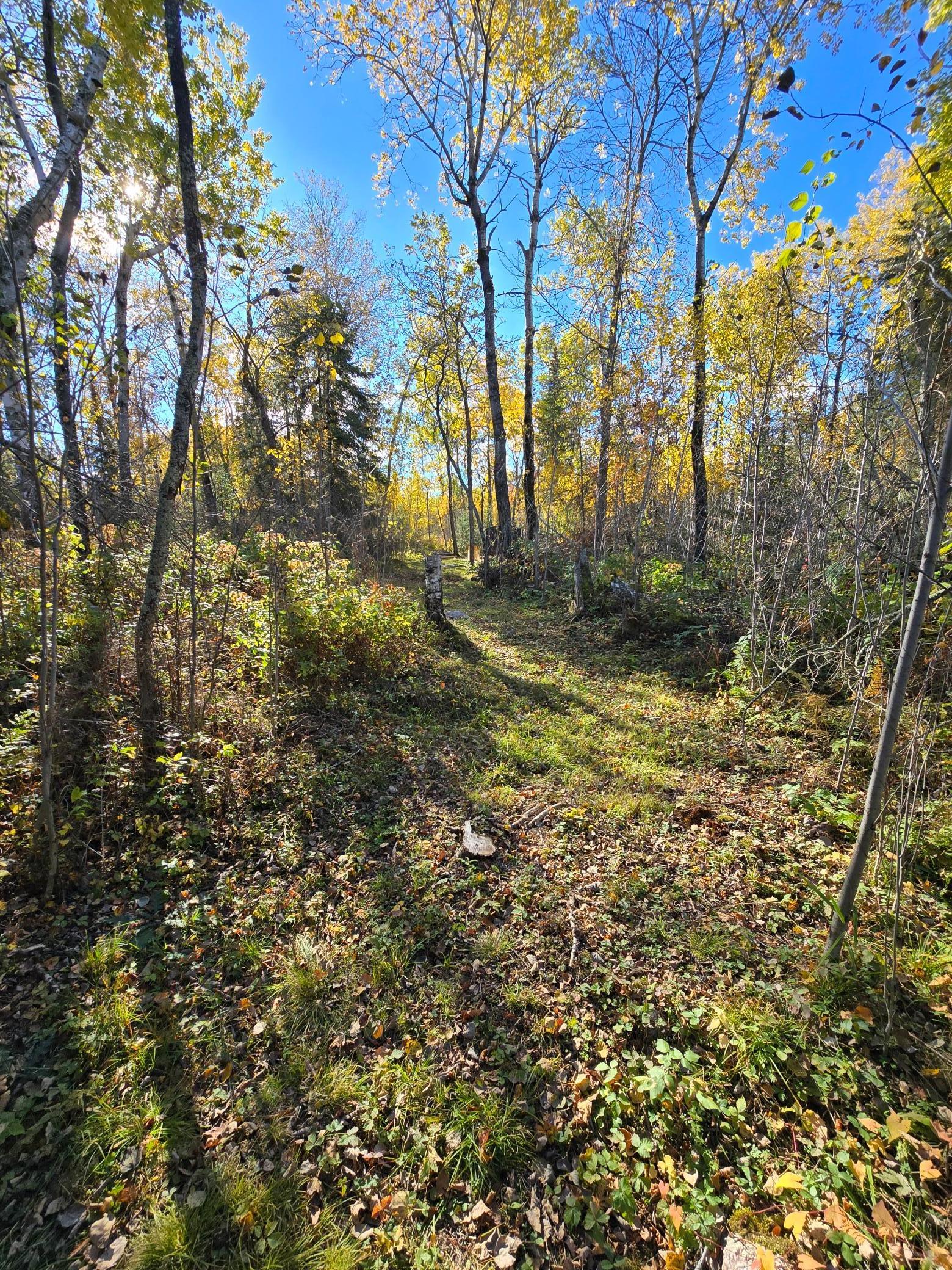 land for sale at Tract 8 Brush Island in Angle Inlet, MN (photo 8 of 23)