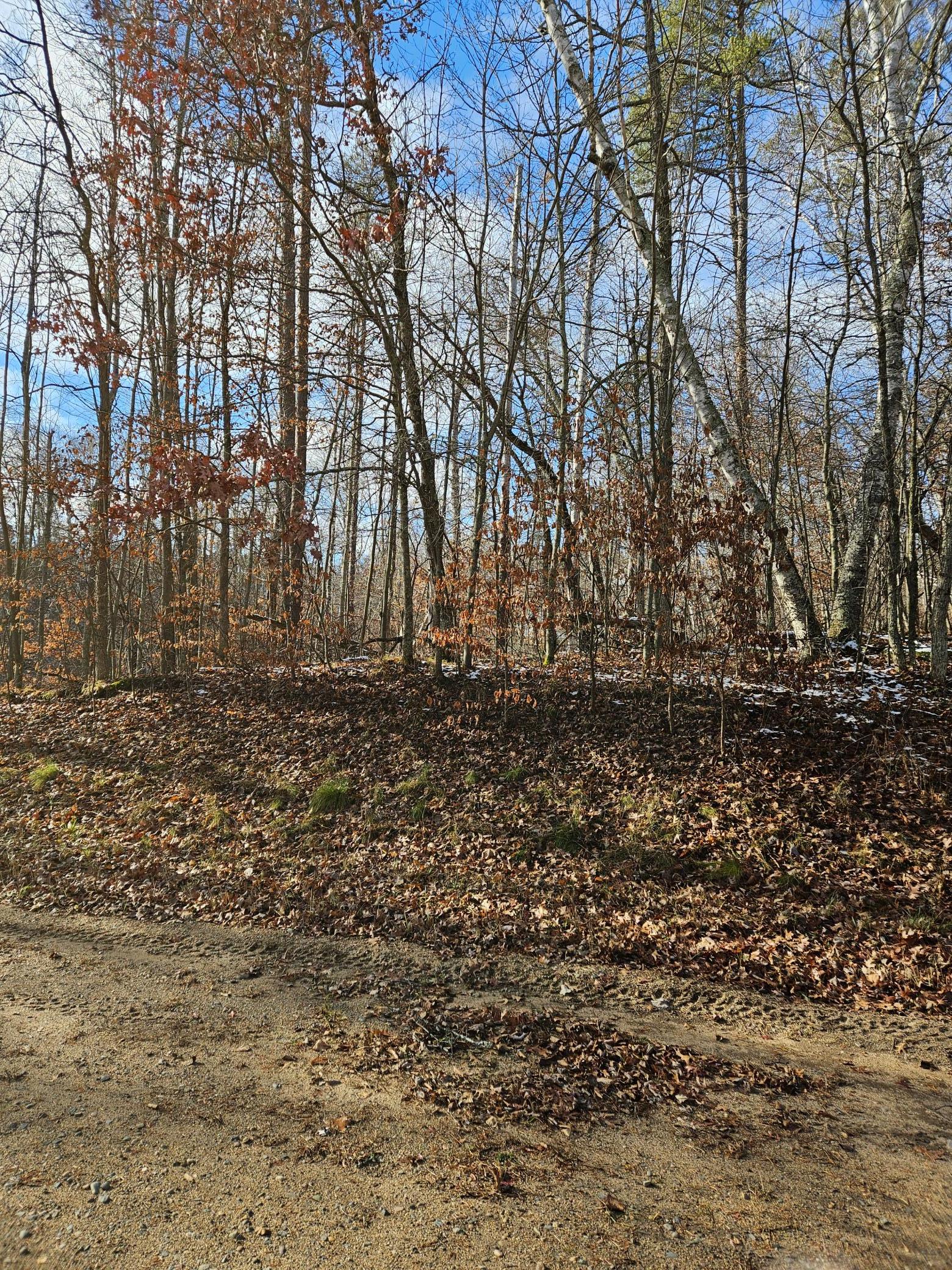 land for sale at Lot 1 Raccoon Lane in Breezy Point, MN