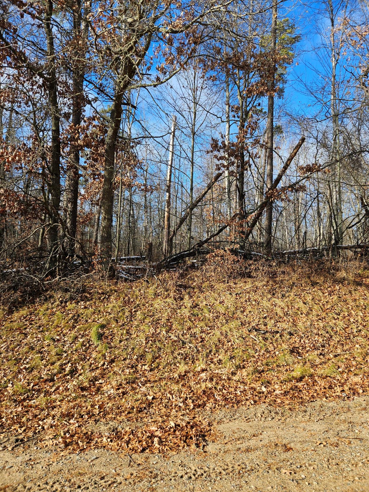 land for sale at Lot 1 Raccoon Lane in Breezy Point, MN (photo 4 of 6)