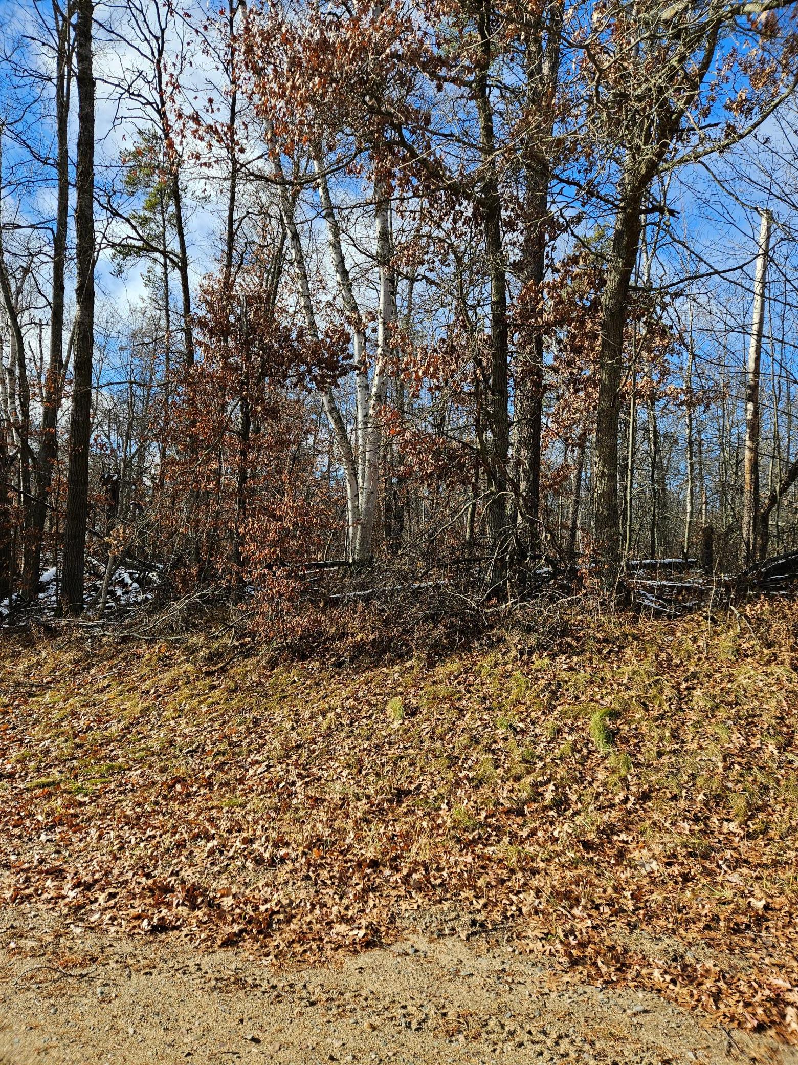 land for sale at Lot 1 Raccoon Lane in Breezy Point, MN (photo 5 of 6)