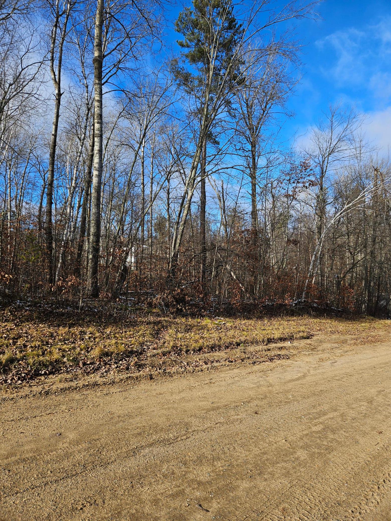 land for sale at Lots 3 & 4 Raccoon Lane in Breezy Point, MN (photo 4 of 6)