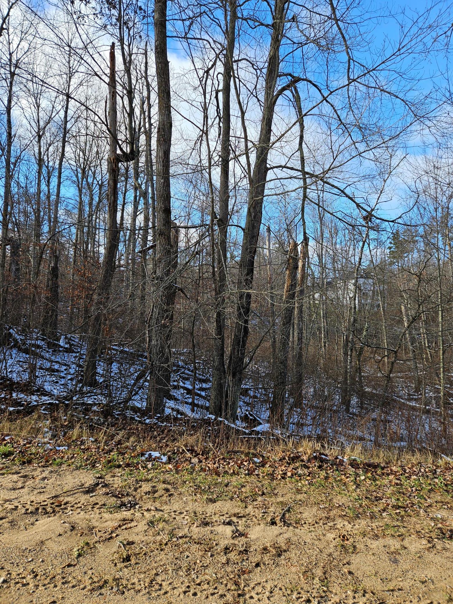 land for sale at Lots 3 & 4 Raccoon Lane in Breezy Point, MN (photo 6 of 6)