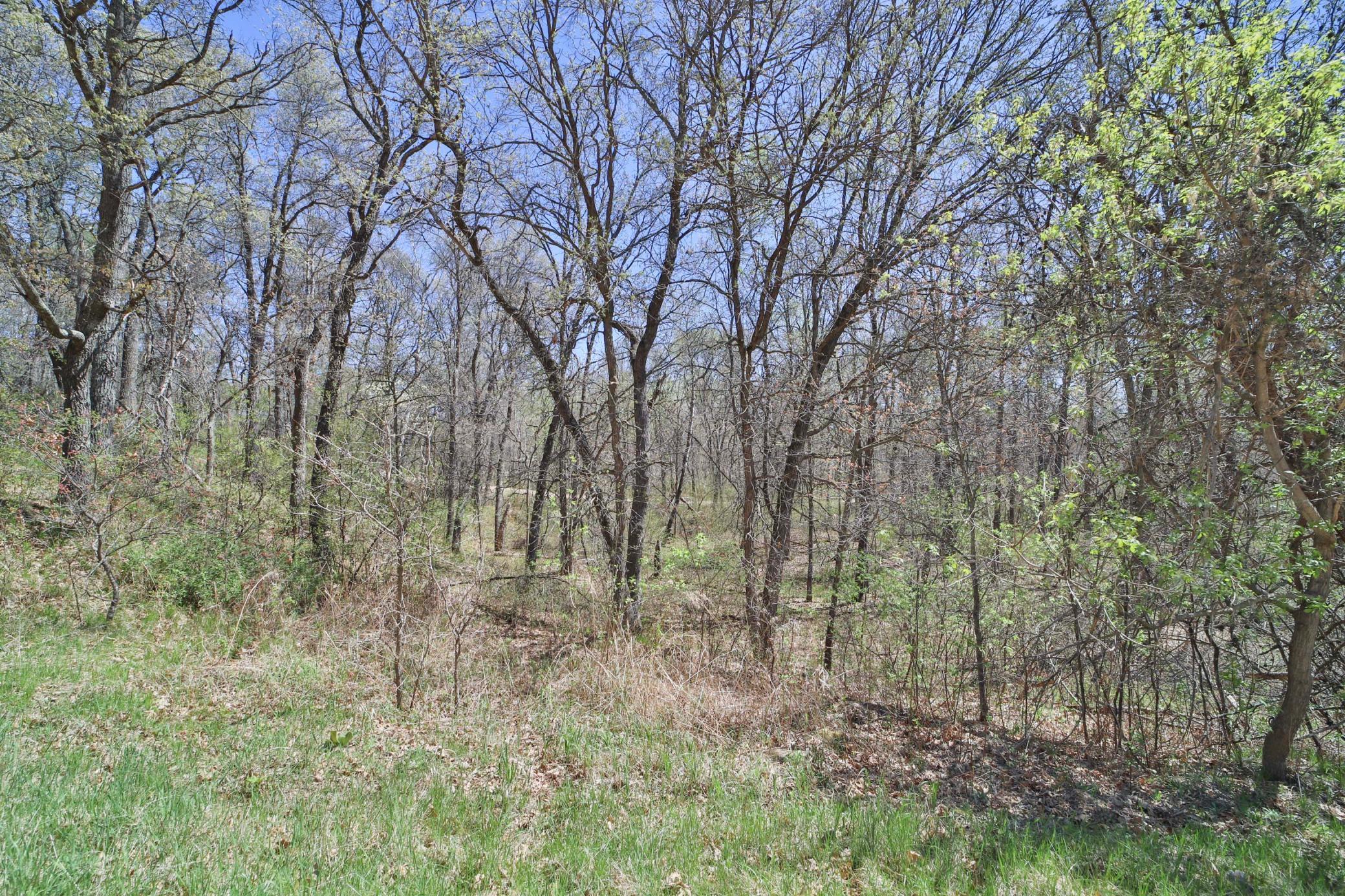 land for sale at TBD Cedar St in Breezy Point, MN (photo 3 of 8)