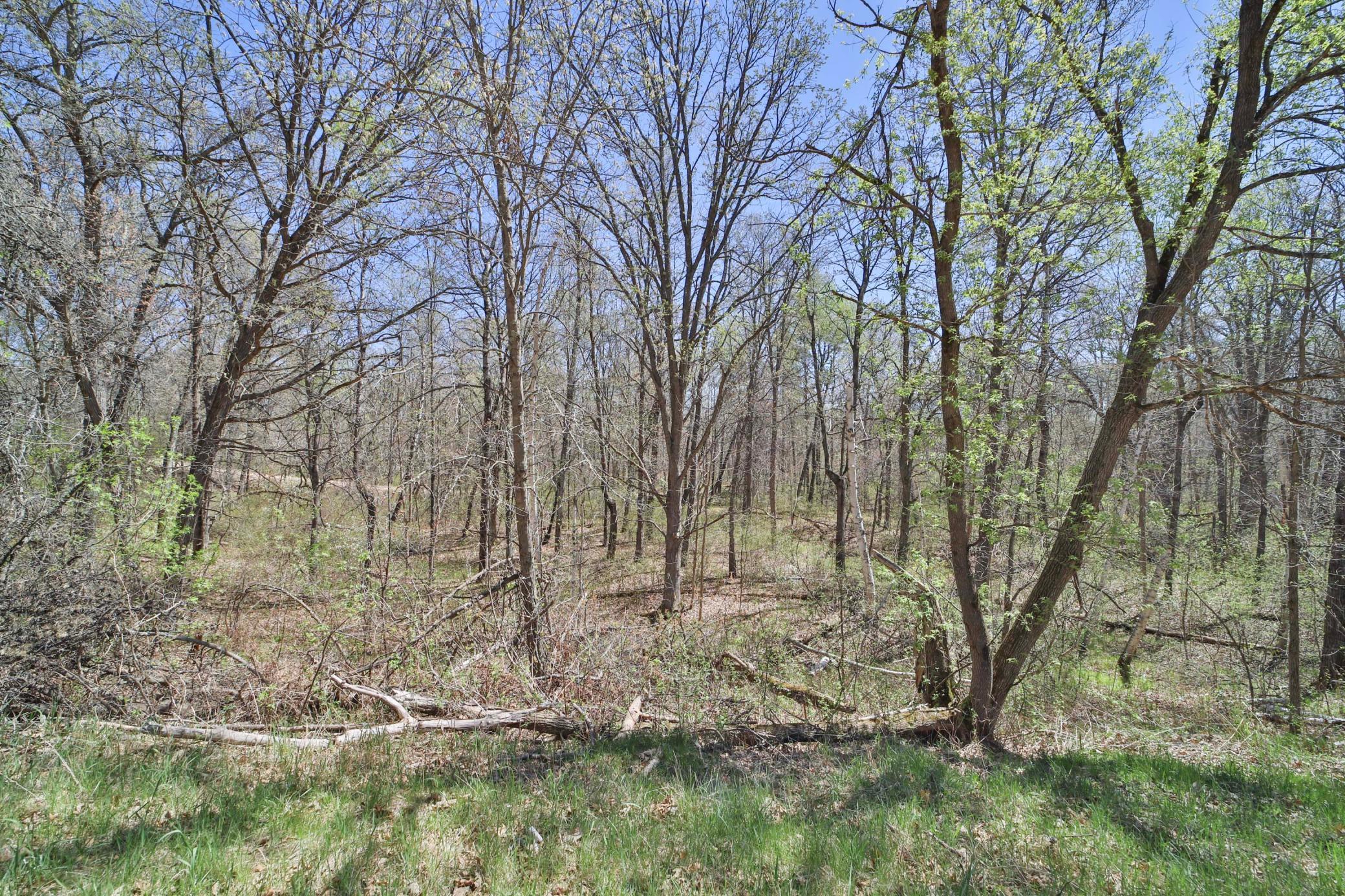 land for sale at TBD Cedar St in Breezy Point, MN (photo 4 of 8)