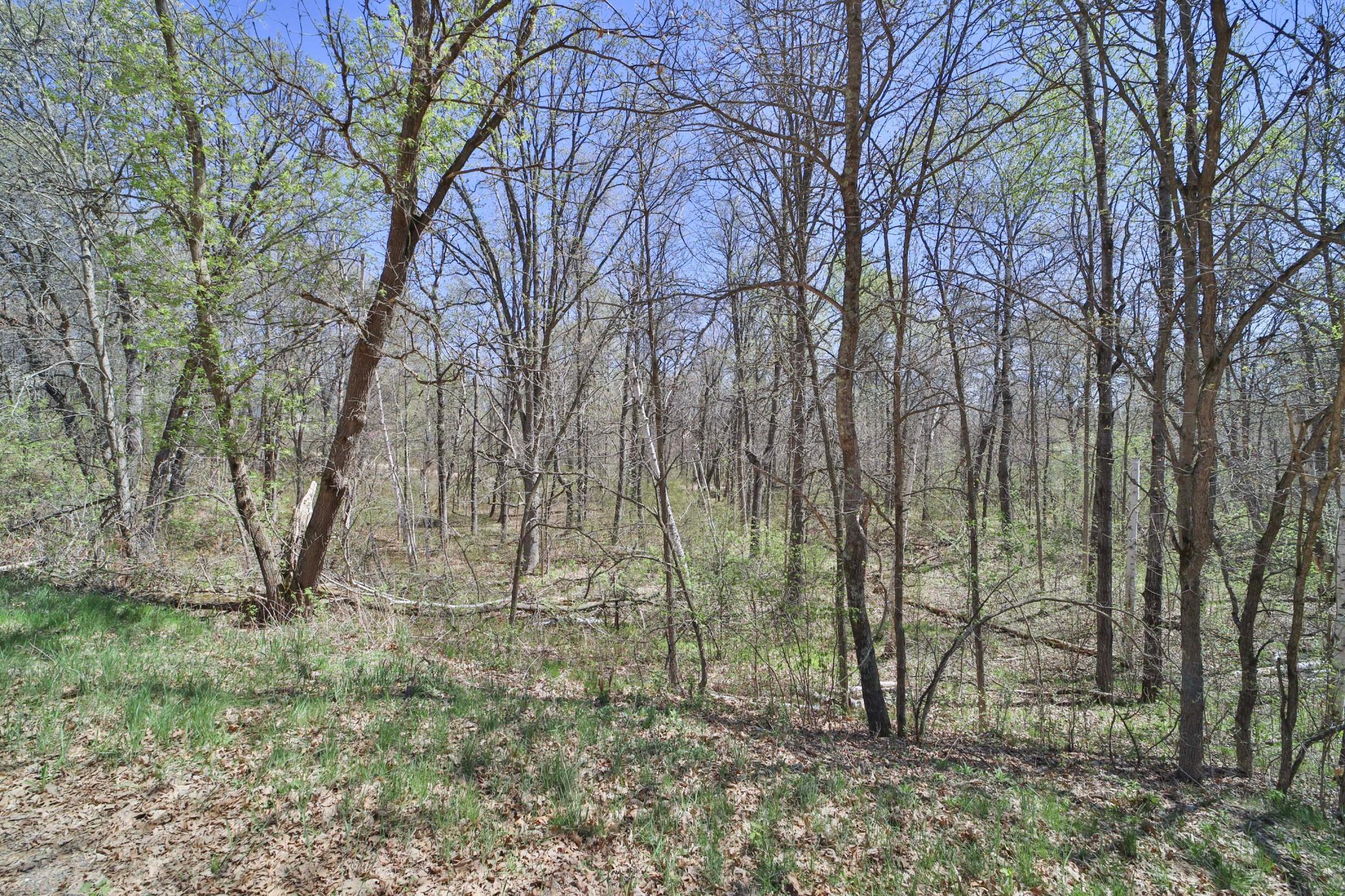 land for sale at TBD Cedar St in Breezy Point, MN (photo 5 of 8)
