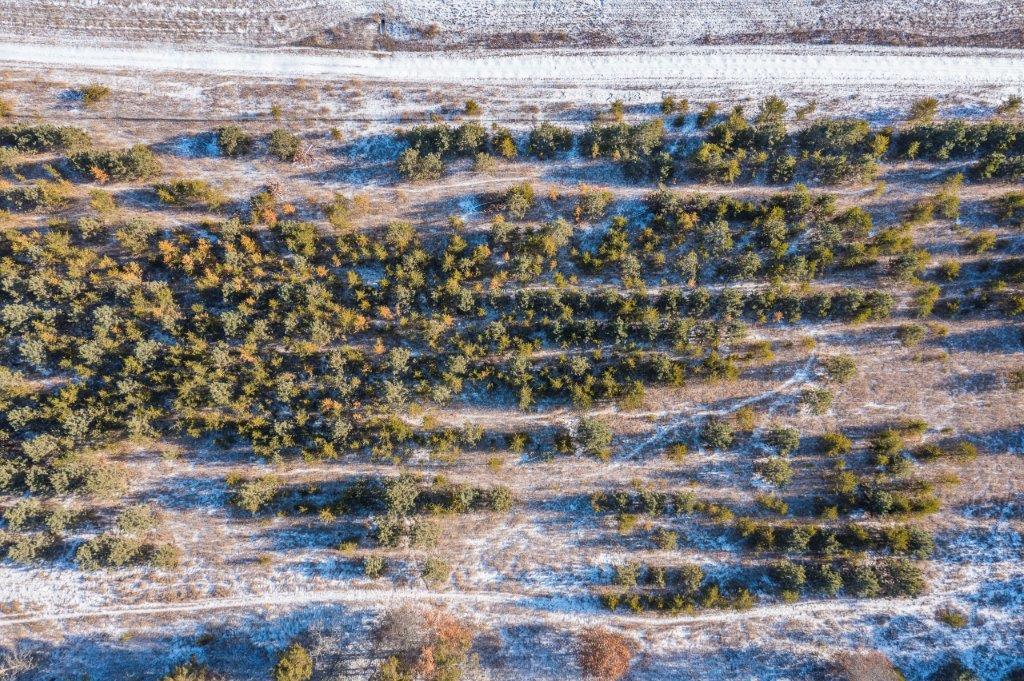 land for sale at TBD Jasperwood Drive in Baxter, MN (photo 31 of 34)