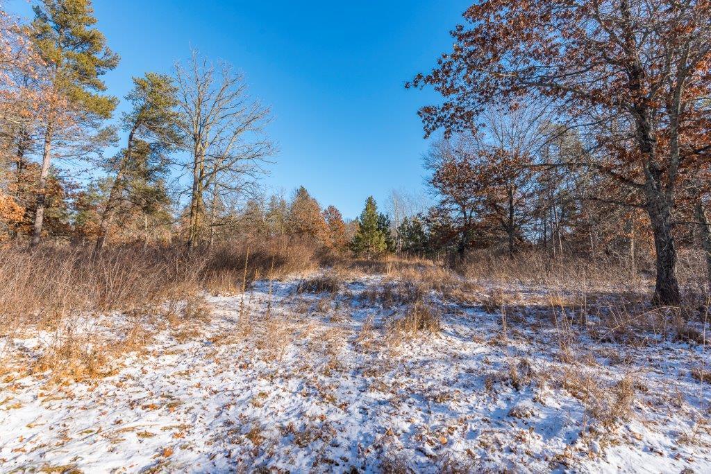 land for sale at TBD Jasperwood Drive in Baxter, MN (photo 9 of 34)