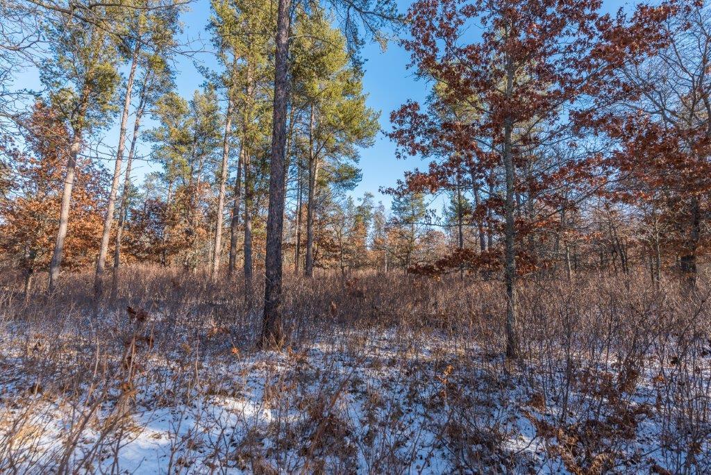 land for sale at TBD Jasperwood Drive in Baxter, MN (photo 10 of 34)